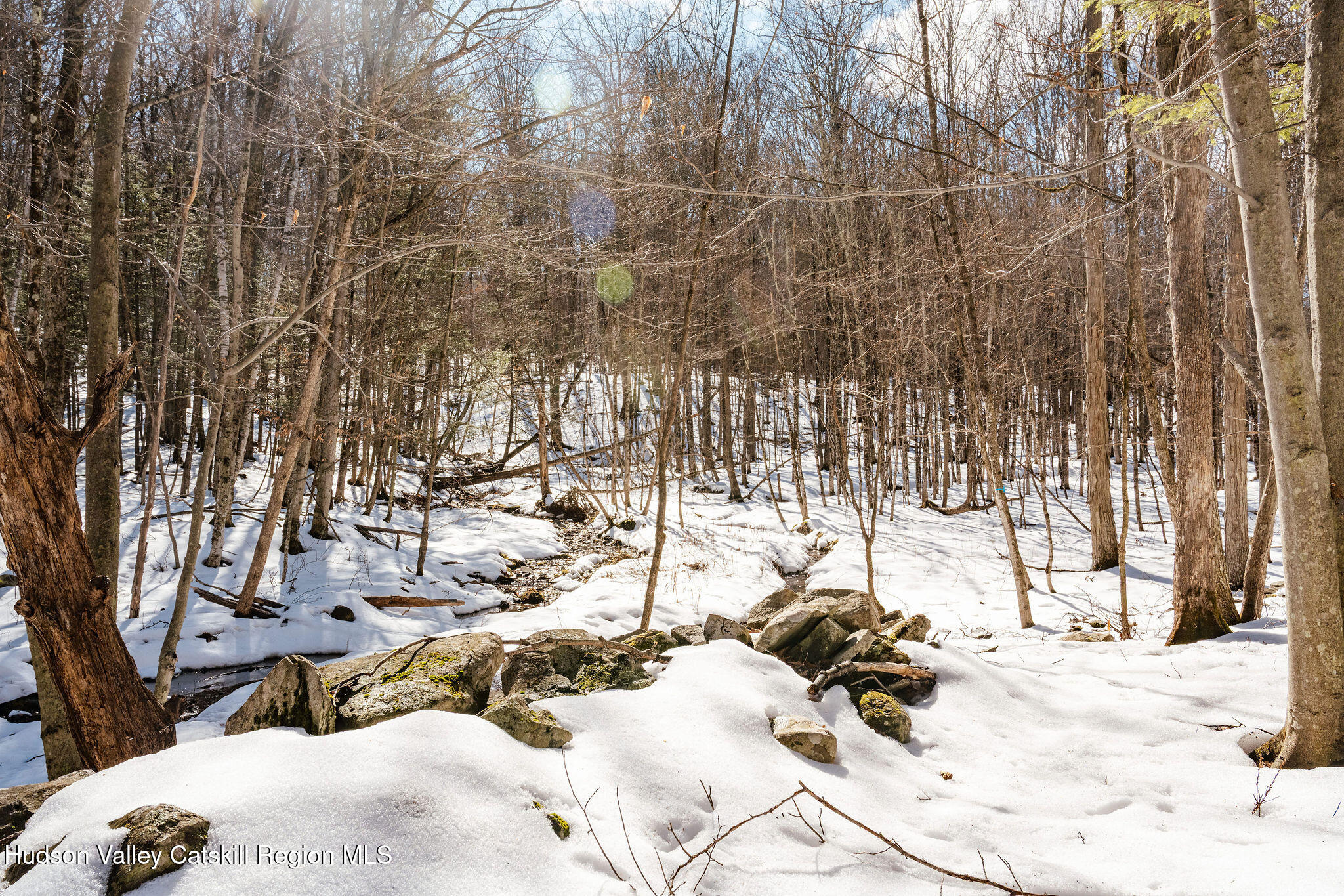 Tbd Strong Road Cornwallville, NY 12418 - Photo 19 of 30 2025-02-FRESHAIR-Cornwallville-Preston-8