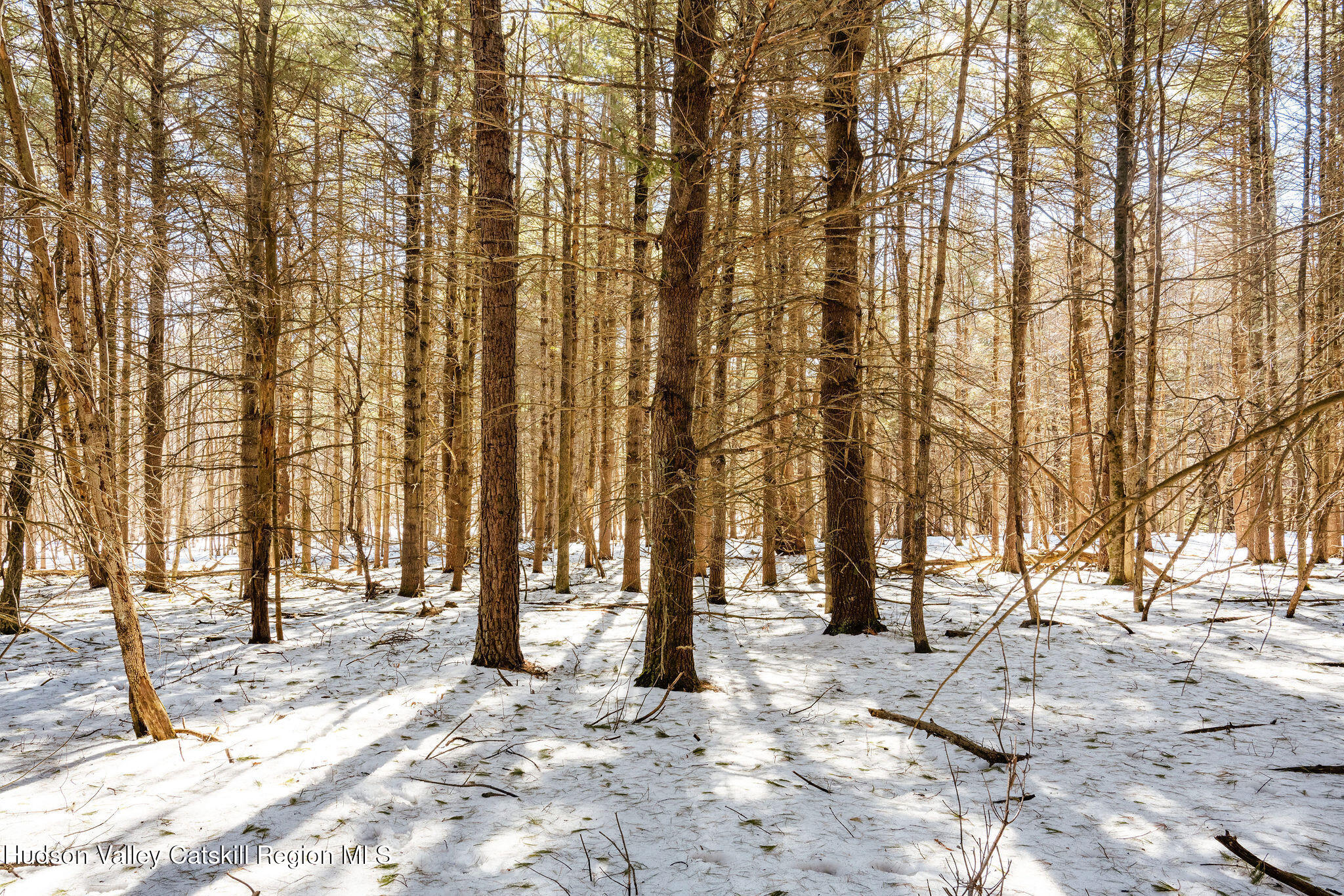 Tbd Strong Road Cornwallville, NY 12418 - Photo 21 of 30 2025-02-FRESHAIR-Cornwallville-Preston-8