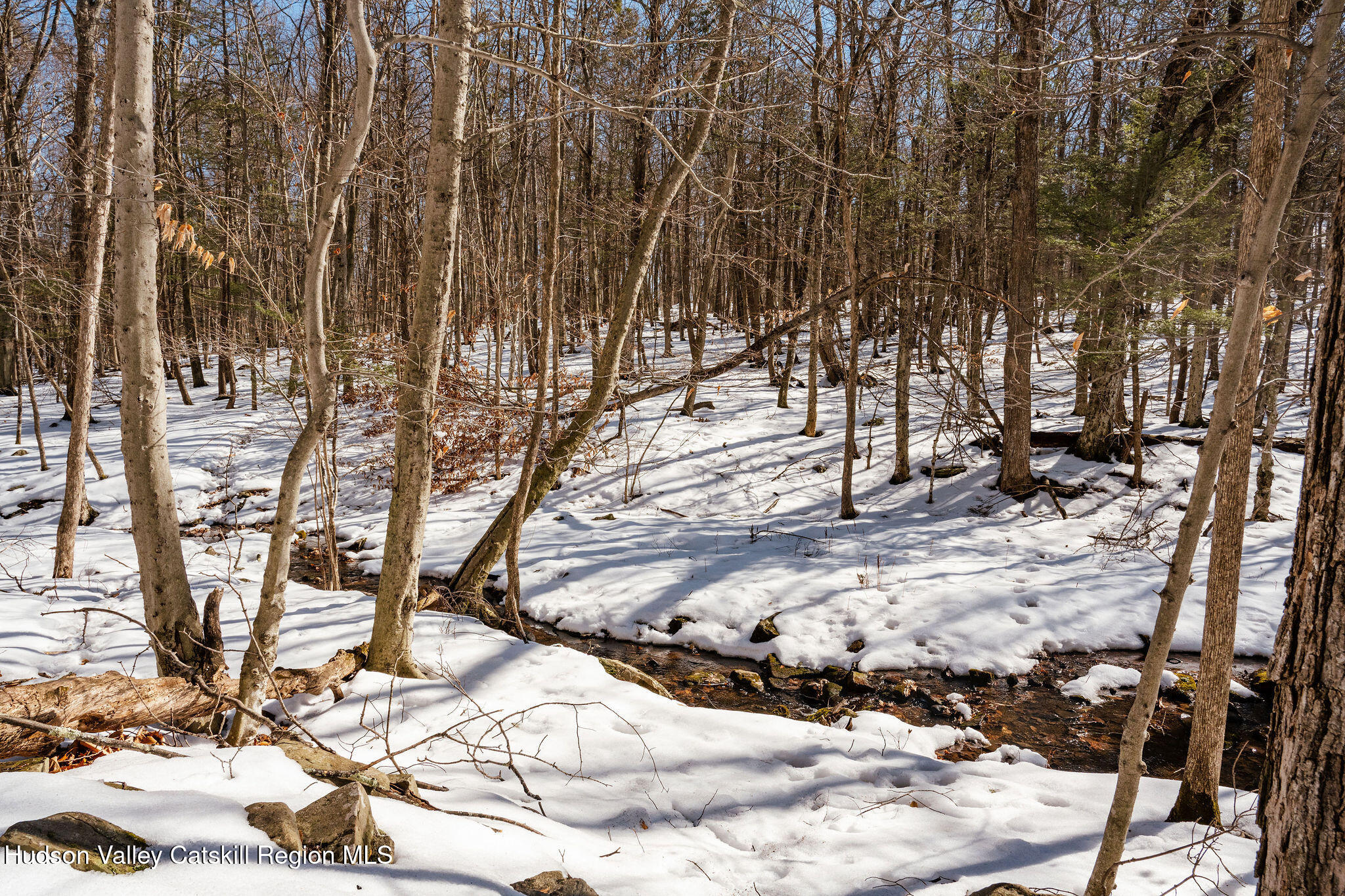 Tbd Strong Road Cornwallville, NY 12418 - Photo 22 of 30 2025-02-FRESHAIR-Cornwallville-Preston-8