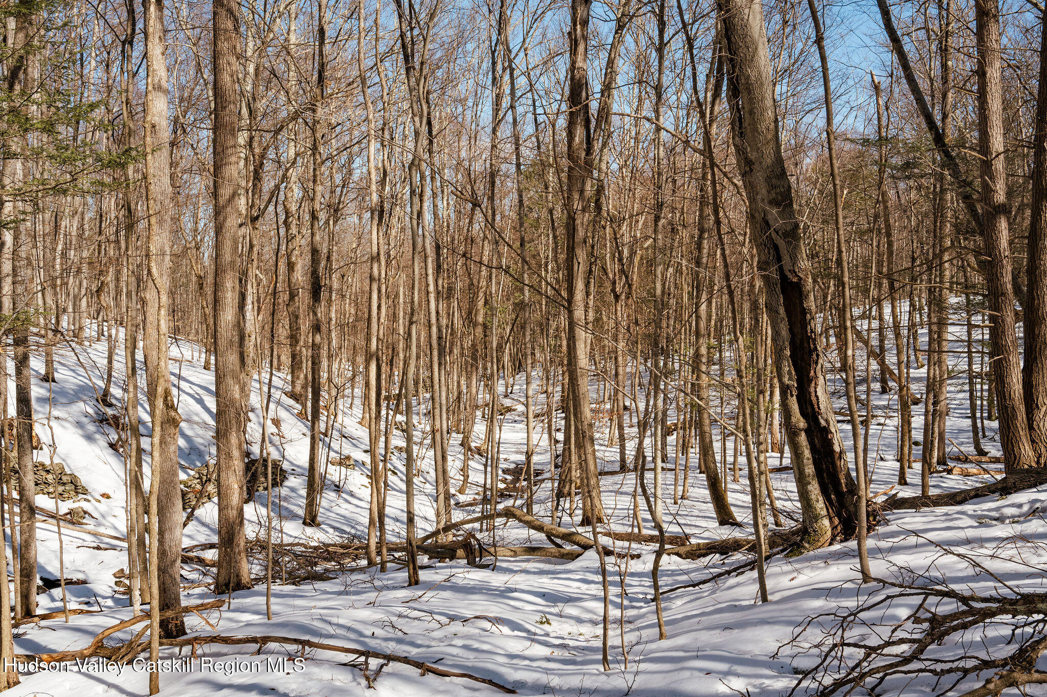 Tbd Strong Road Cornwallville, NY 12418 - Photo 24 of 30 2025-02-FRESHAIR-Cornwallville-Preston-8