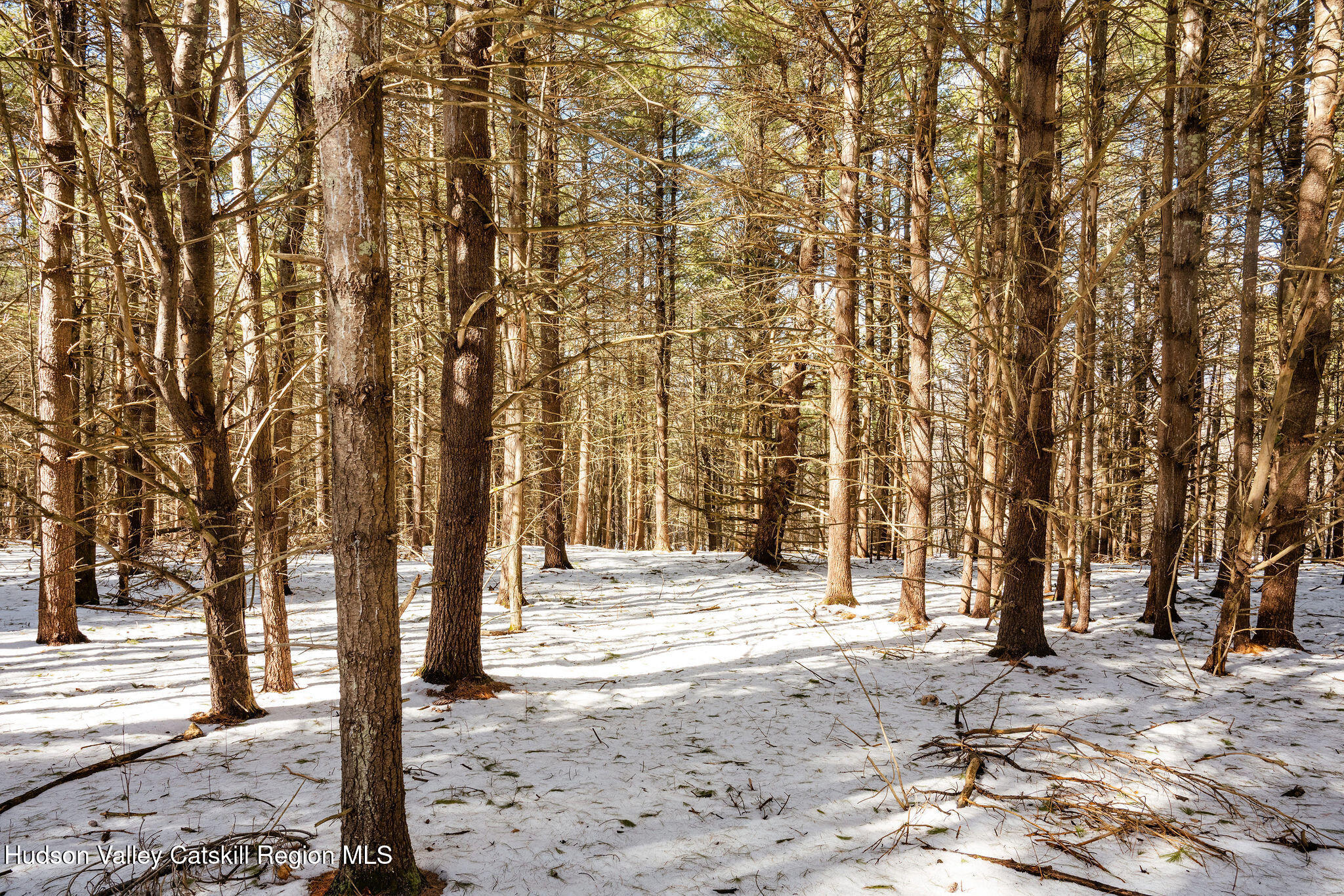 Tbd Strong Road Cornwallville, NY 12418 - Photo 25 of 30 2025-02-FRESHAIR-Cornwallville-Preston-8