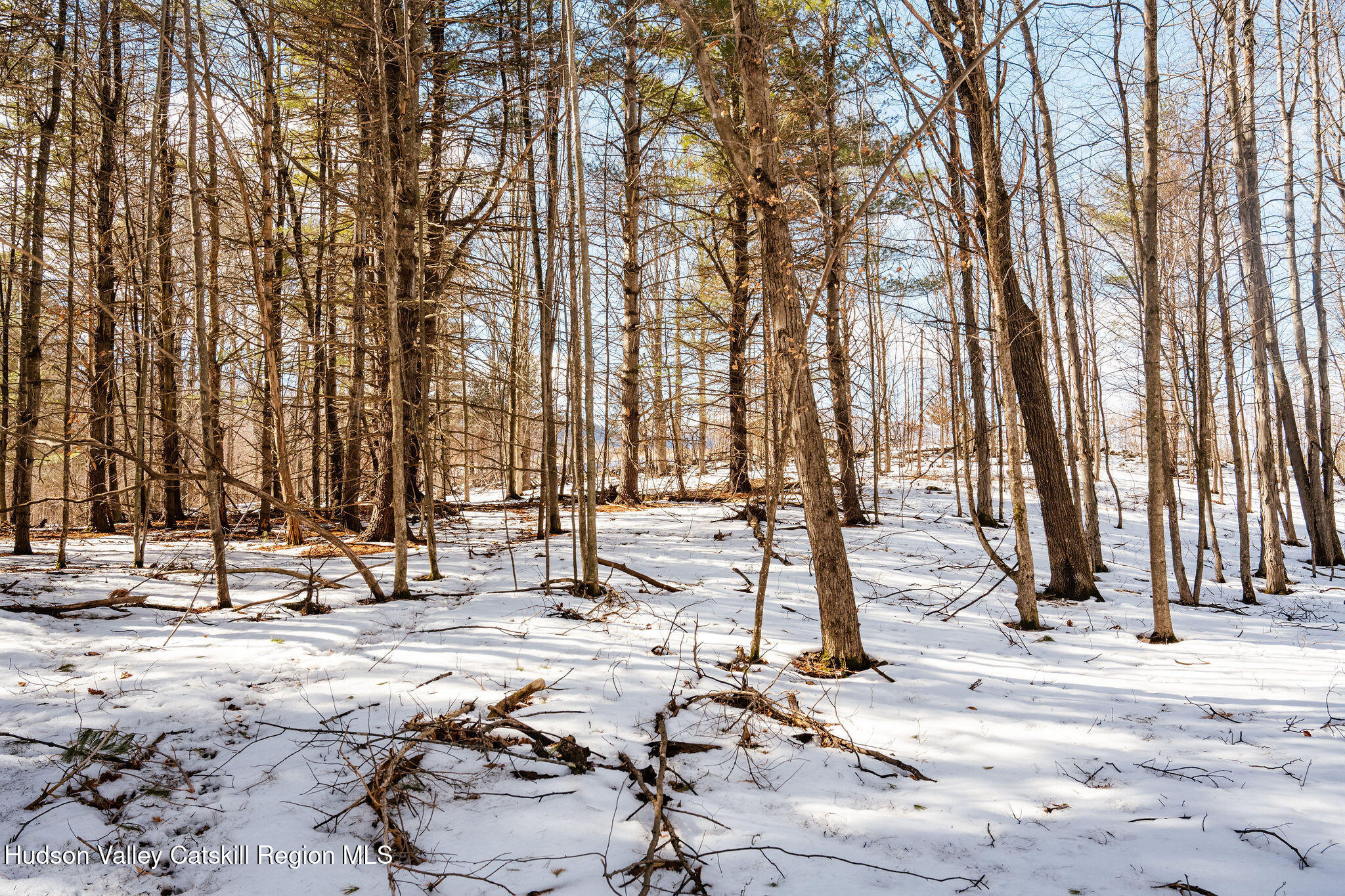 Tbd Strong Road Cornwallville, NY 12418 - Photo 27 of 30 2025-02-FRESHAIR-Cornwallville-Preston-8