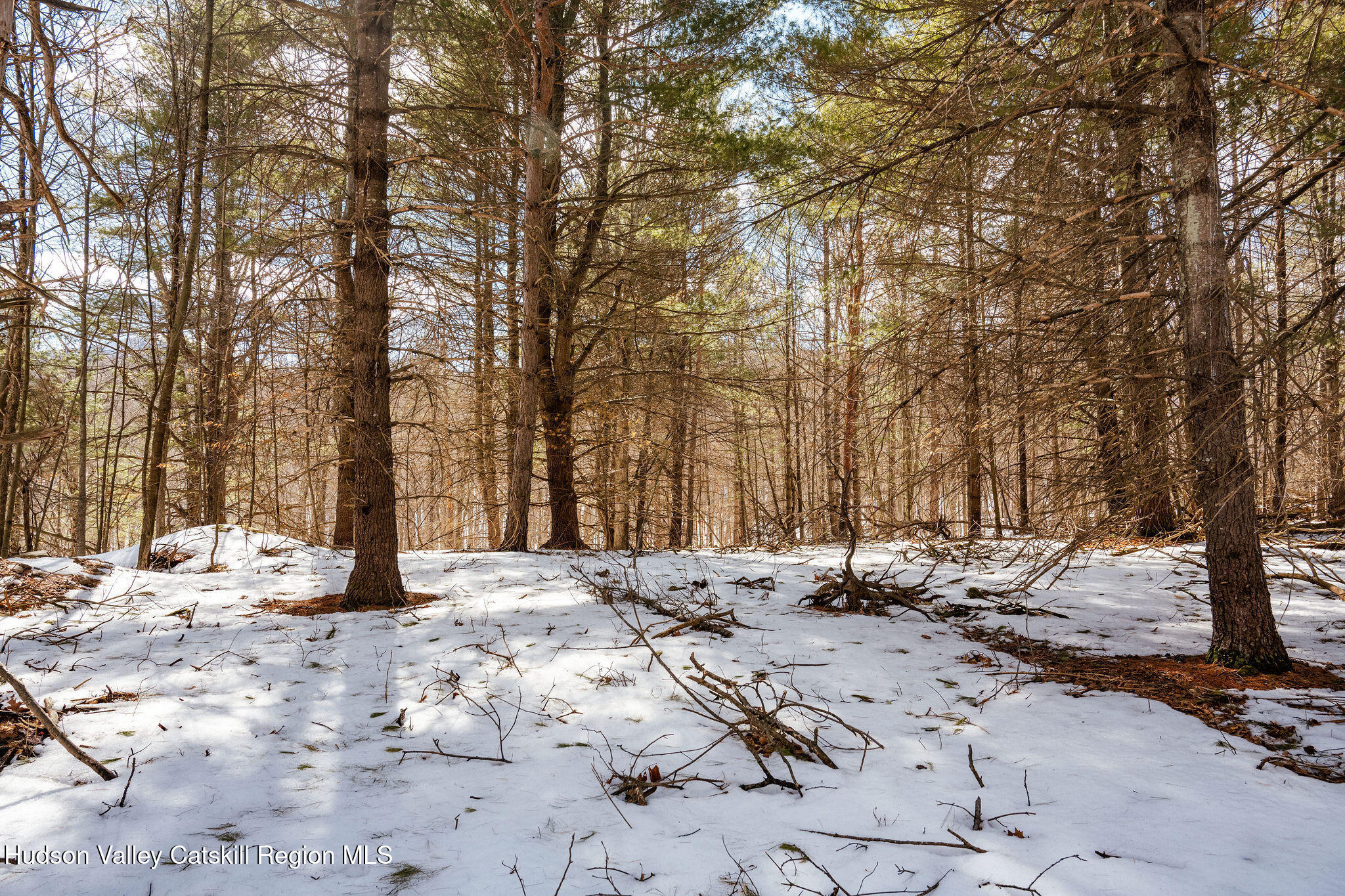 Tbd Strong Road Cornwallville, NY 12418 - Photo 28 of 30 2025-02-FRESHAIR-Cornwallville-Preston-8