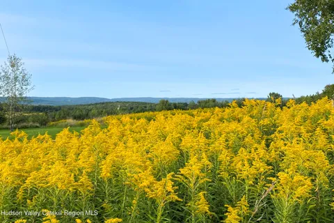 $699,000 | Tbd Strong Road, Cornwallville, NY 12418