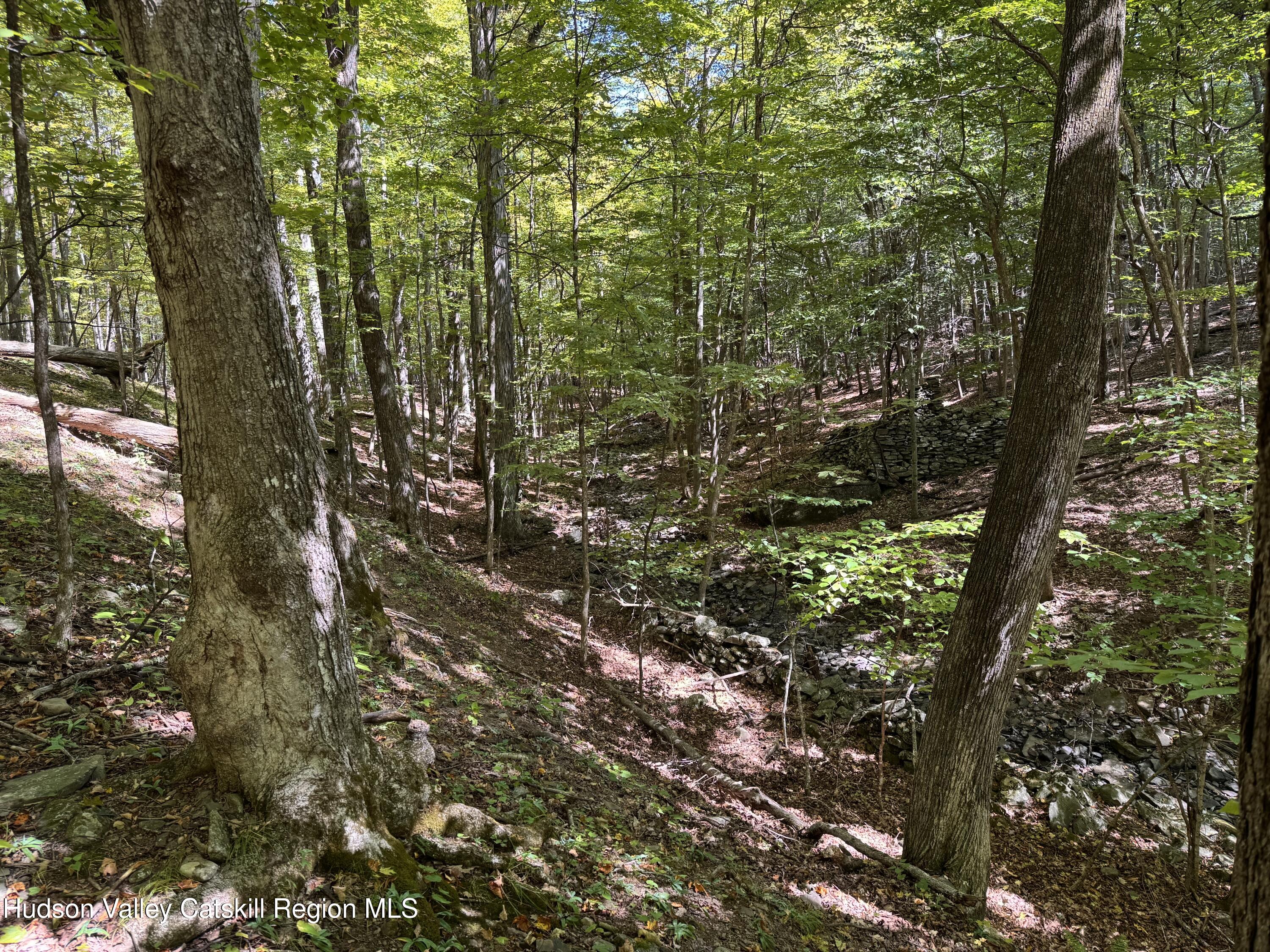 Tbd Strong Road Cornwallville, NY 12418 - Photo 10 of 30 IMG_3384