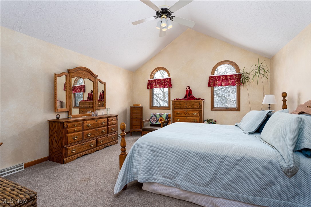 310 Reimer Road Wadsworth, OH 44281 - Photo 28 of 38 Owner's suite with vaulted ceiling and ensuite bath.