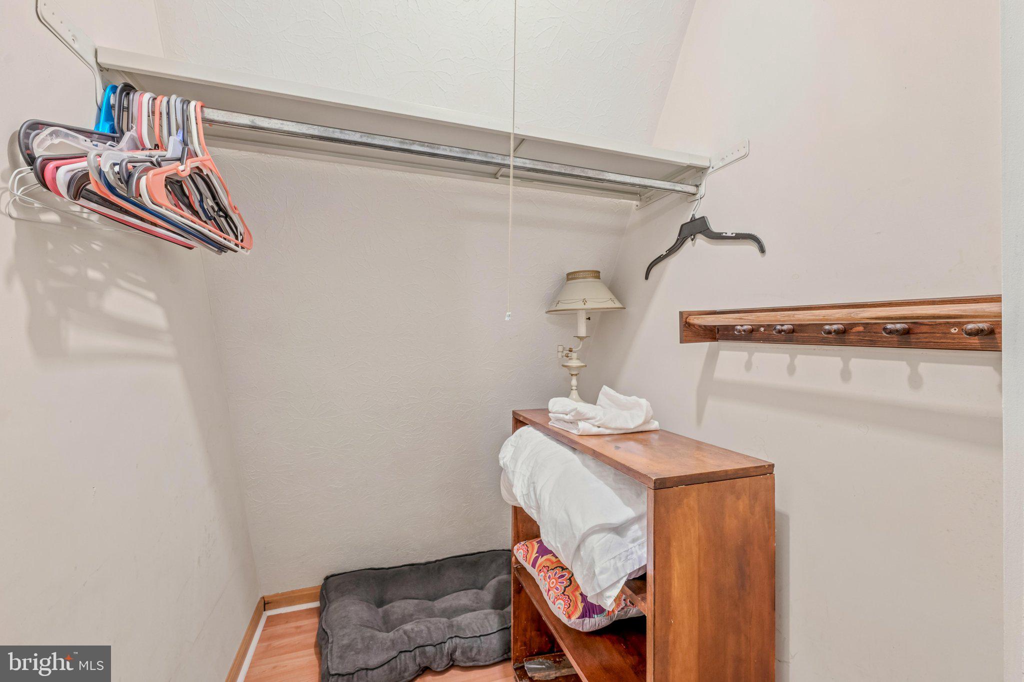 221 Mountainside Road Berkeley Springs, WV 25411 - Photo 25 of 53 Primary Bedroom Closet