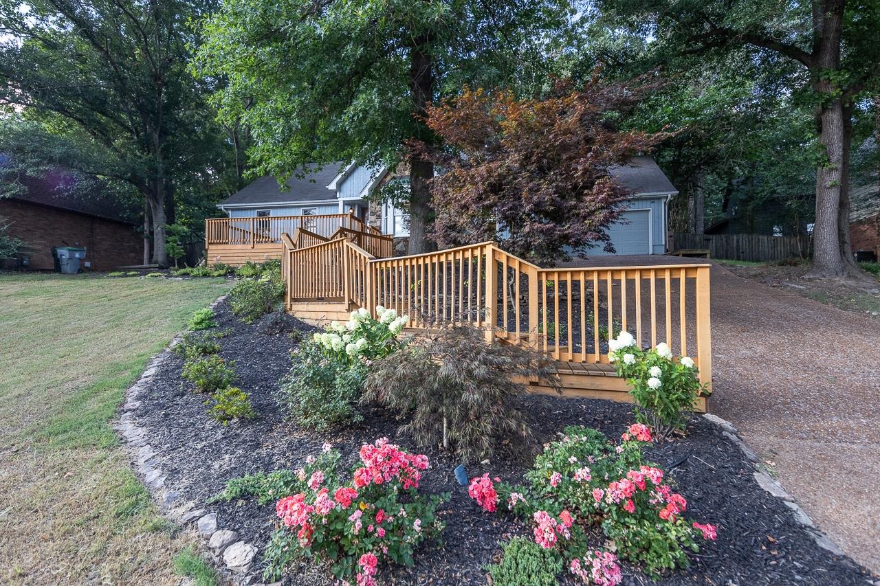 8364 Bazemore Road Cordova, TN 38018 - Photo 6 of 33 a view of a garden filled with lots of flower and a garden