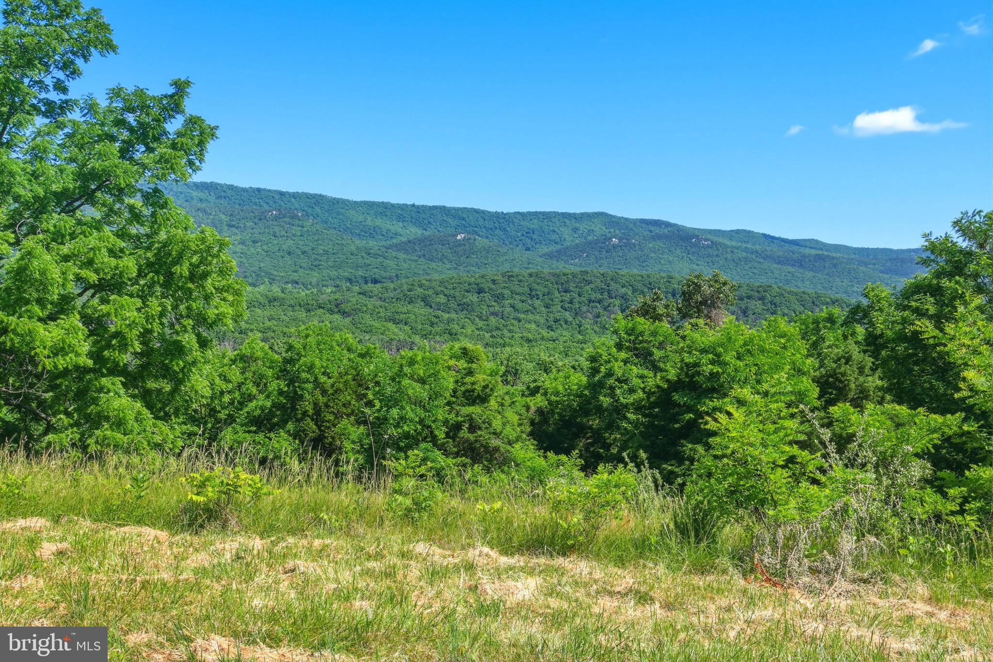 1639 Sugar Hill Road Maurertown, VA 22644 - Photo 18 of 62