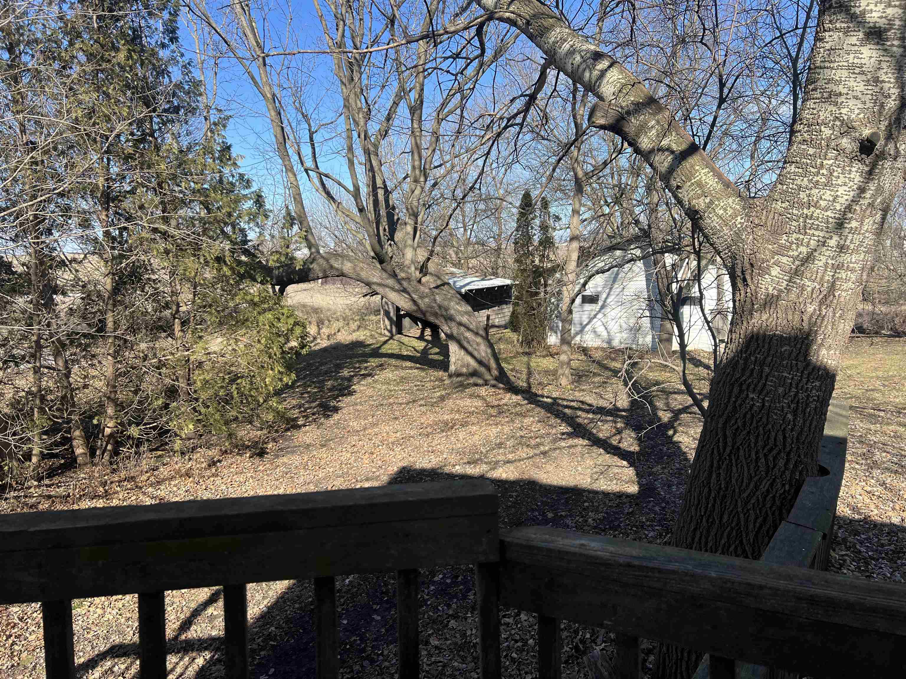 8282 North Afolkey Road Dakota, IL 61018 - Photo 37 of 42 a backyard of a house