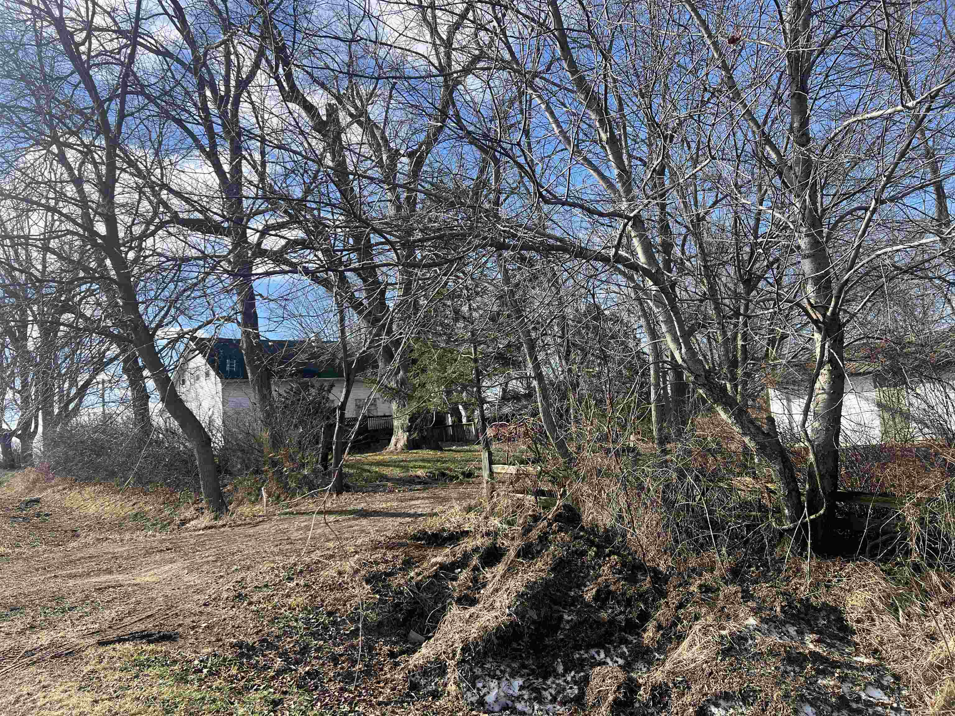8282 North Afolkey Road Dakota, IL 61018 - Photo 41 of 42 a view of park with tree