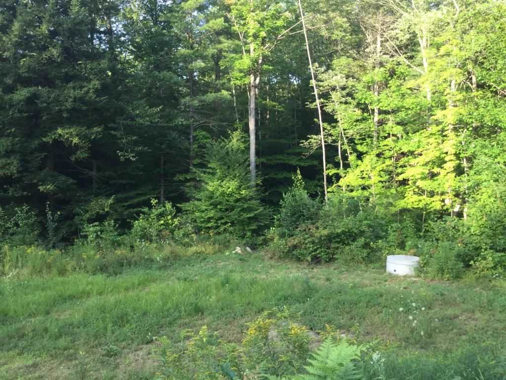 219 Flaghole Road Andover, NH 03216 - Photo 14 of 19