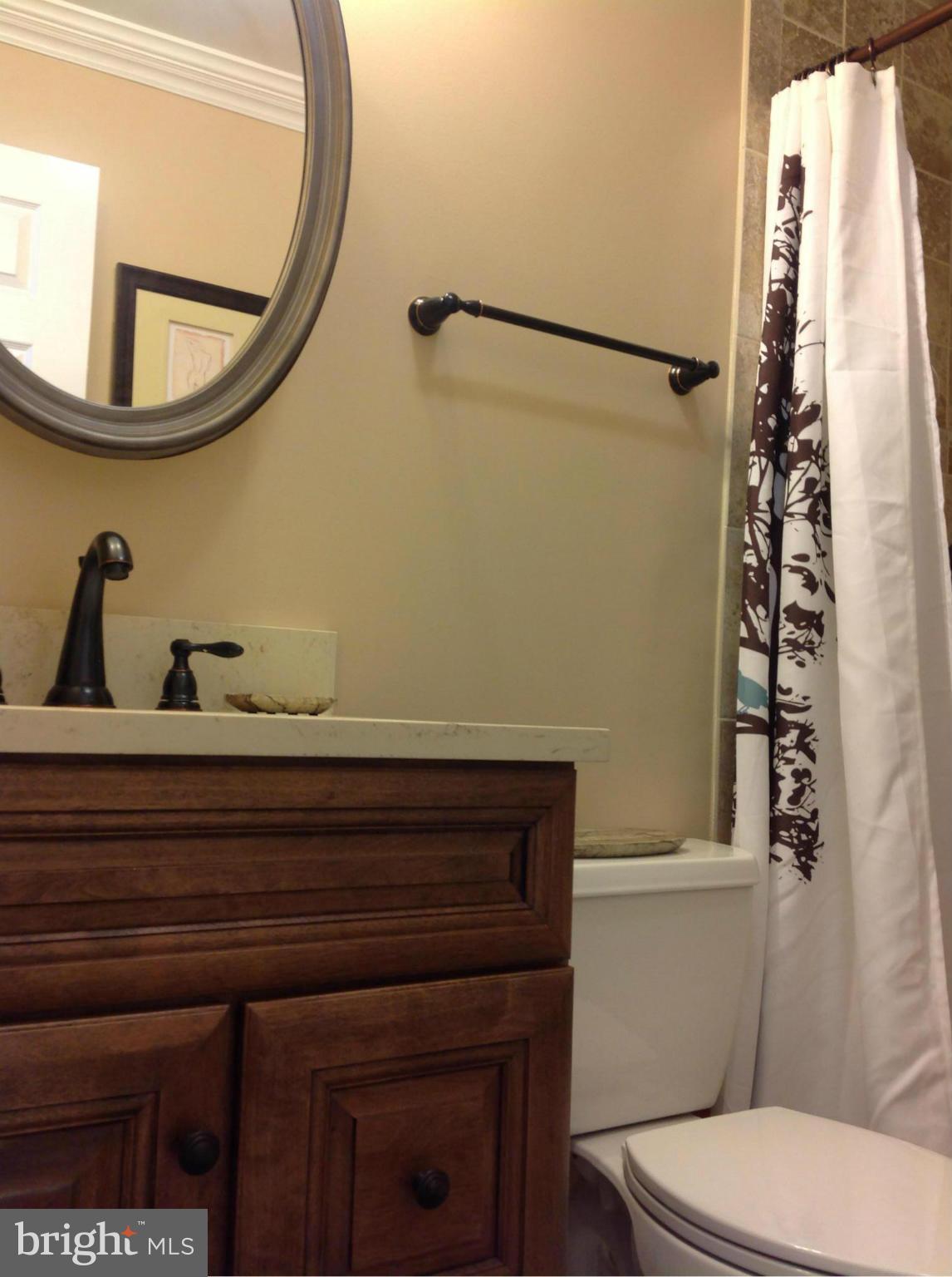 7964 Forest Path Way Springfield, VA 22153 - Photo 15 of 29 Bath (Master)