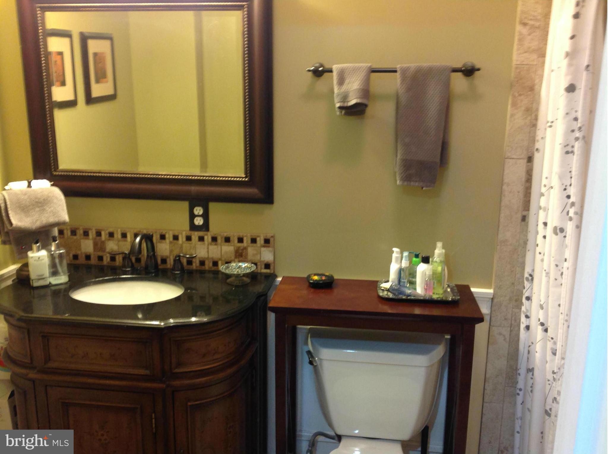 7964 Forest Path Way Springfield, VA 22153 - Photo 24 of 29 Basement Bath