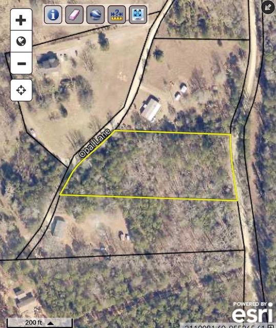0 Diamond Road Waverly Hall, GA 31831 - Photo 3 of 4 Gallery Image 3