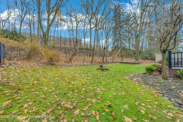a view of backyard with green space