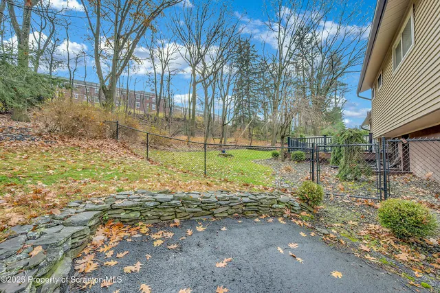 a view of a tree in a yard