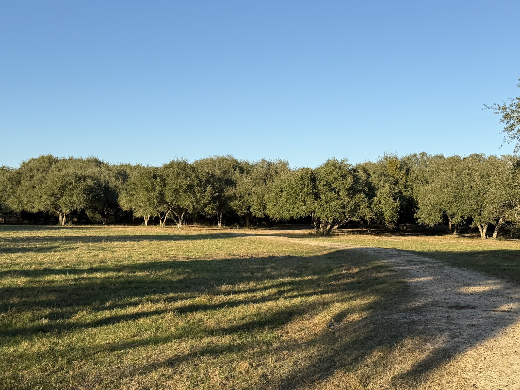 Tbd Rubin Lee Road Cat Spring, TX 78933 - Photo 26 of 47