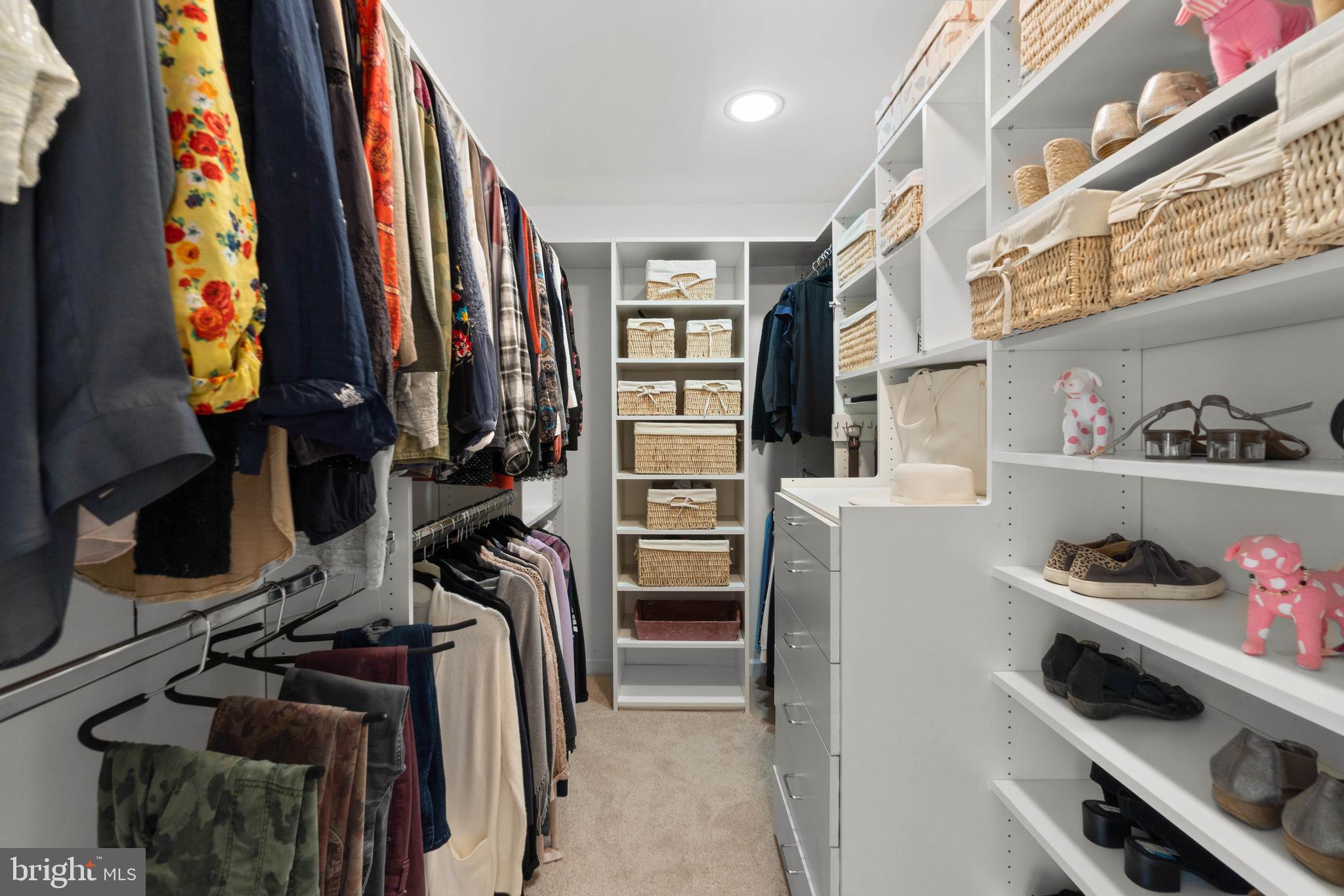 3706 Timber View Way Reisterstown, MD 21136 - Photo 23 of 73 Primary Walk In closet 1