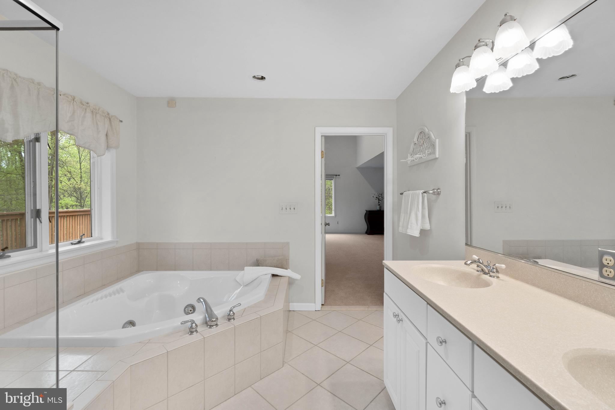 3706 Timber View Way Reisterstown, MD 21136 - Photo 25 of 73 Primary Bath