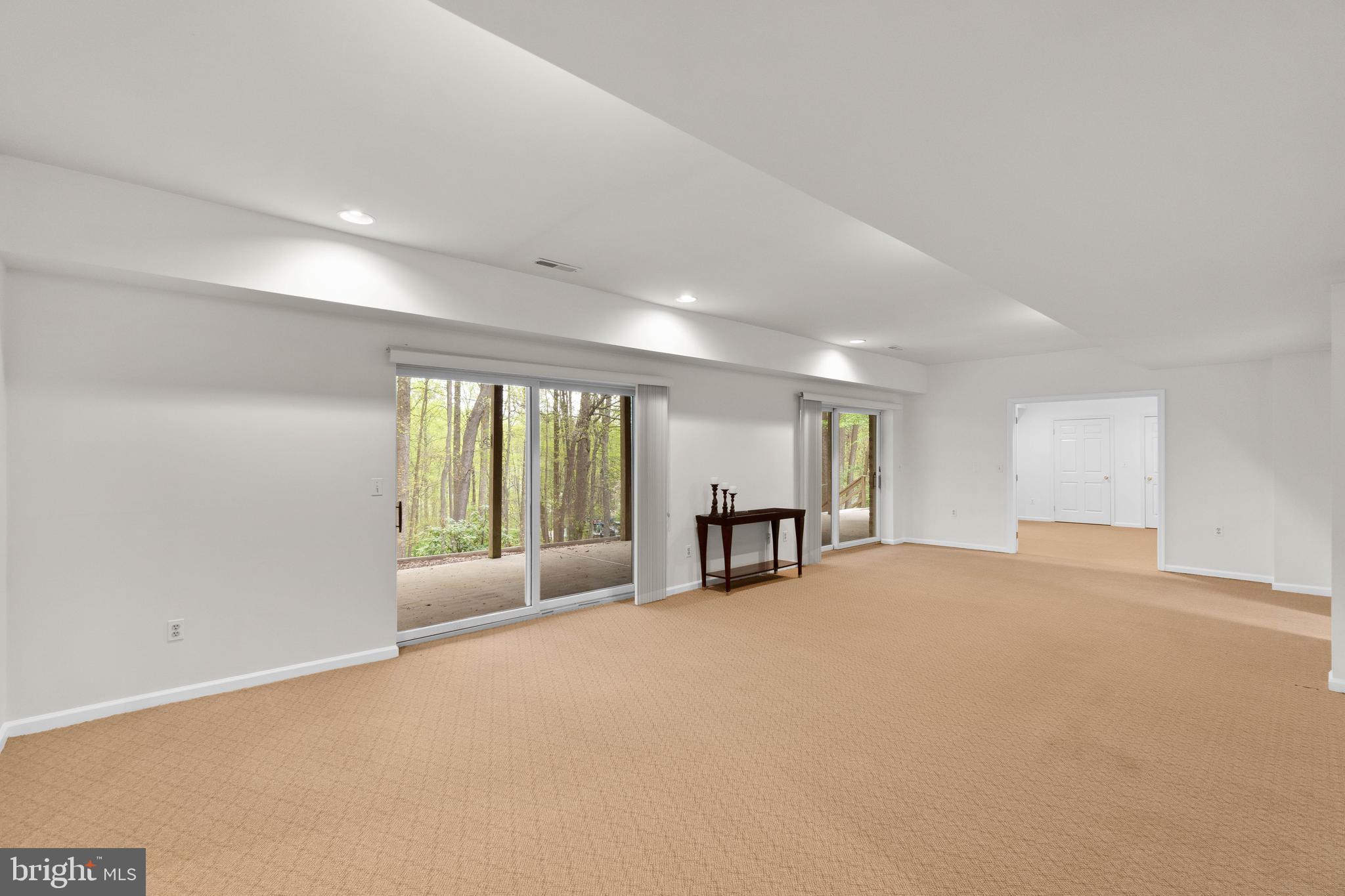 3706 Timber View Way Reisterstown, MD 21136 - Photo 47 of 73 Lower level