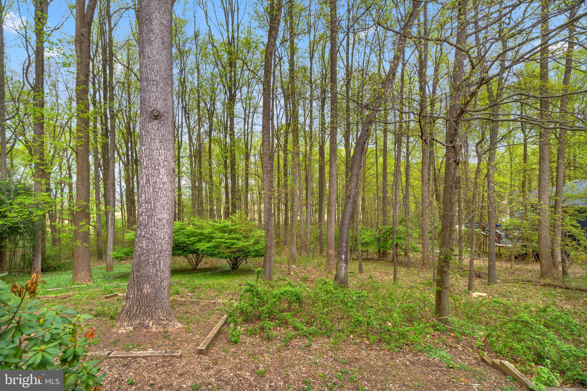 3706 Timber View Way Reisterstown, MD 21136 - Photo 59 of 73 Exterior