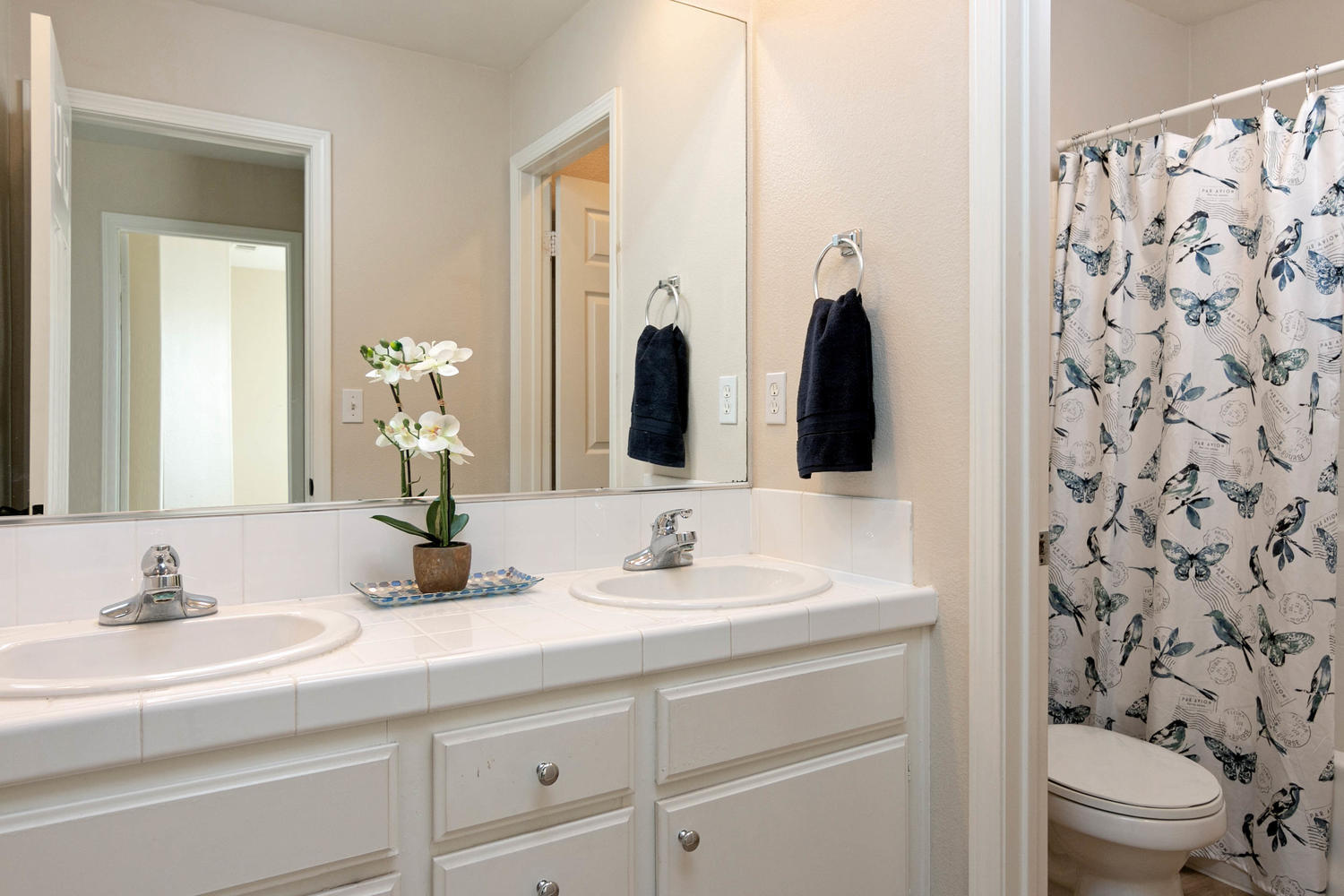 1423 Lorena Drive Oxnard, CA 93030 - Photo 25 of 30 a bathroom with a sink and a mirror