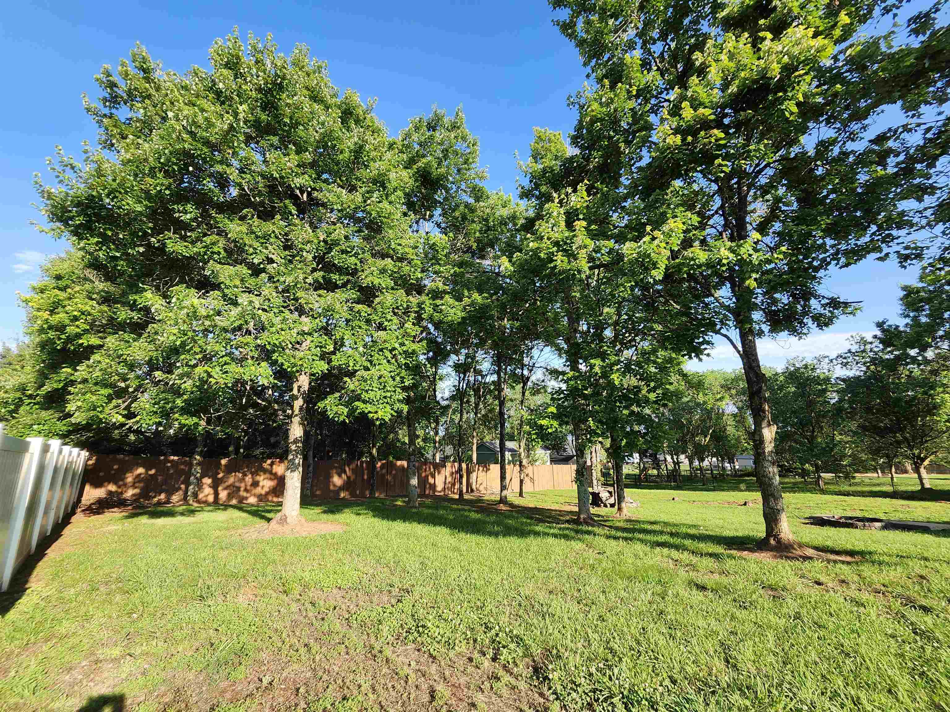 233 Summerfield Road Moore, SC 29369 - Photo 5 of 9