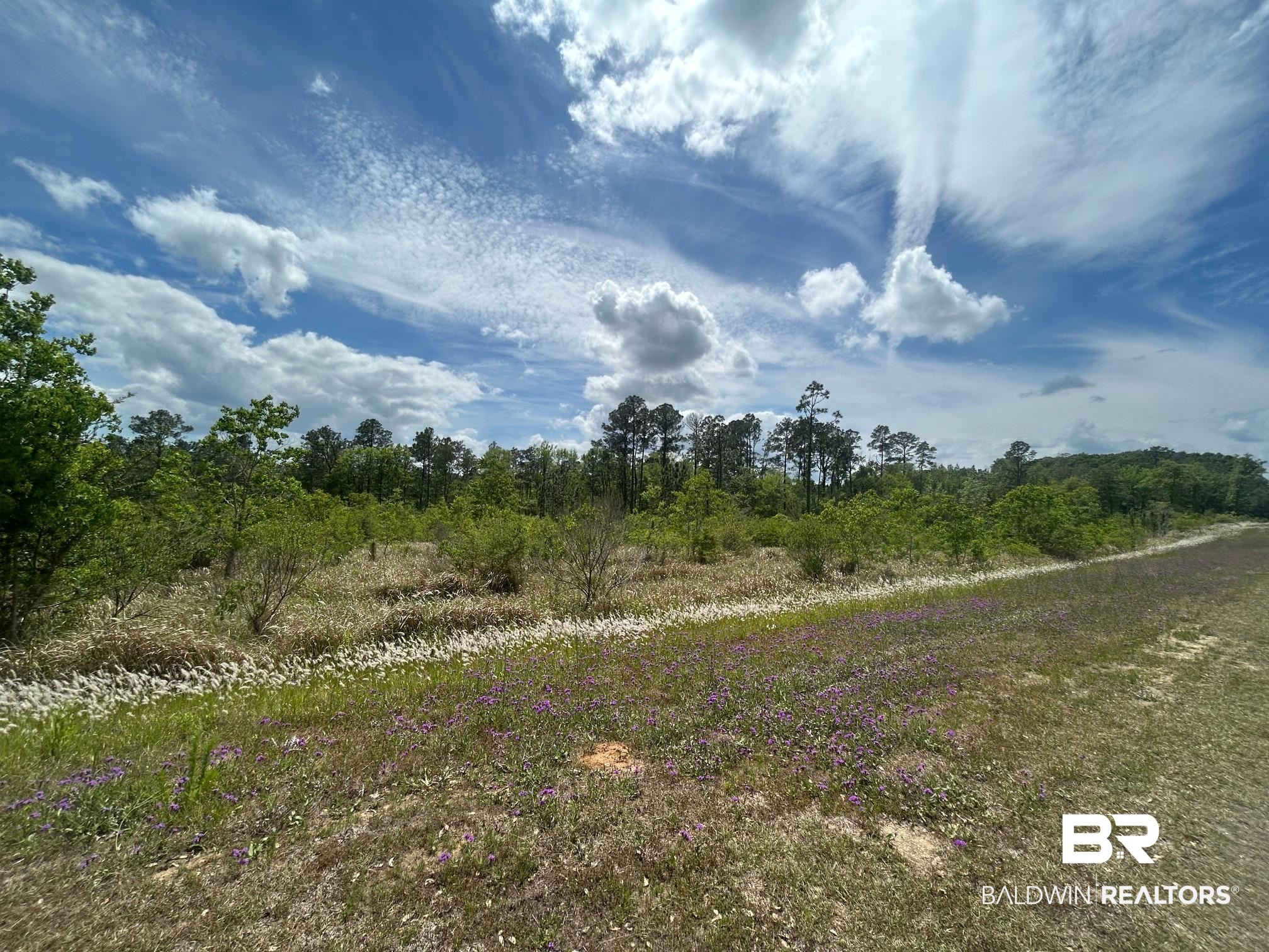 0 Hampton Road Mobile, AL 36608 - Photo 6 of 13