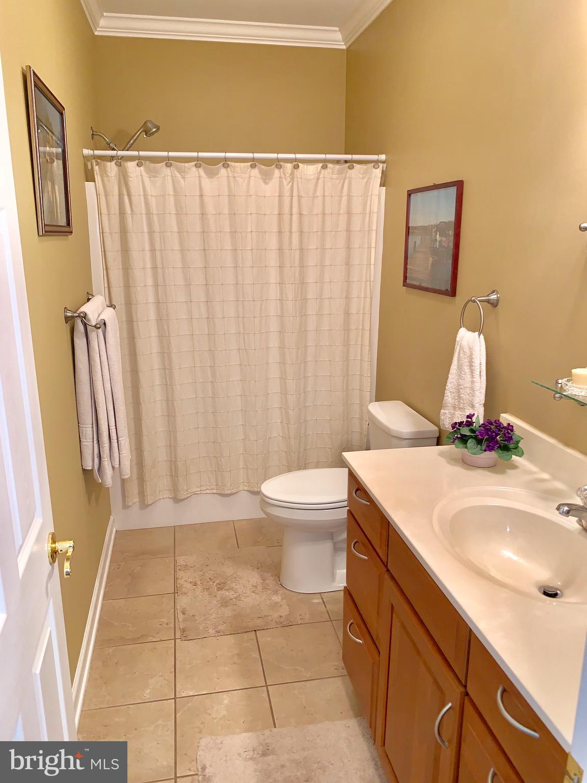 3734 Chestnut Road Baltimore, MD 21220 - Photo 38 of 67