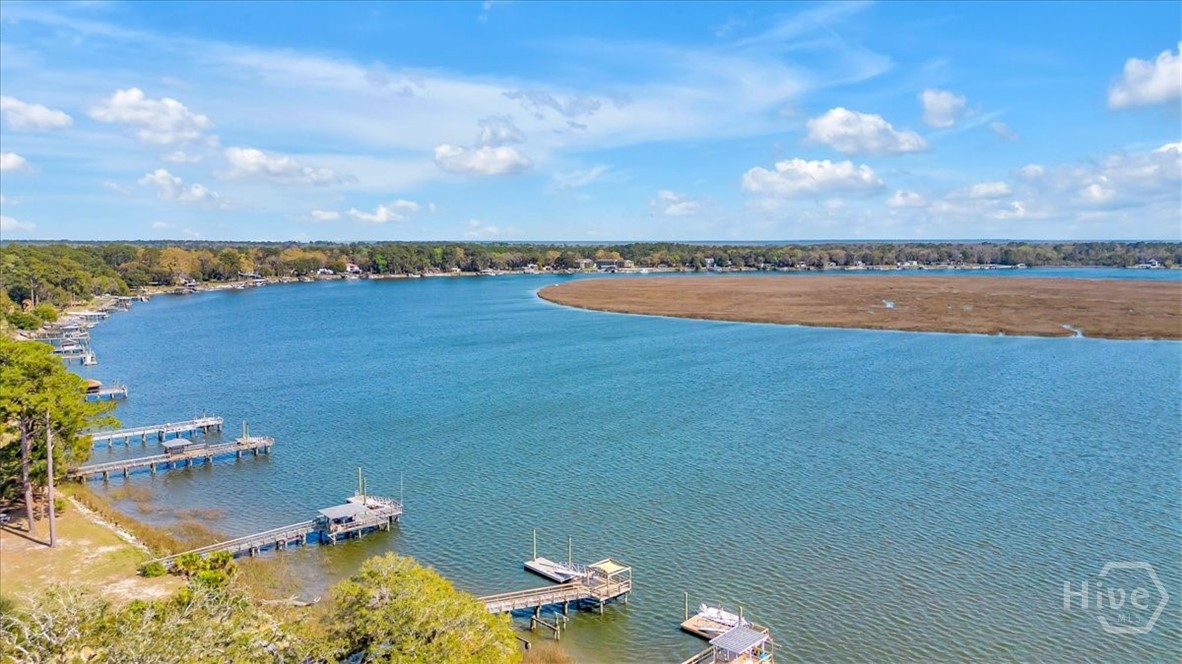 690 Japonica Road Midway, GA 31320 - Photo 59 of 70