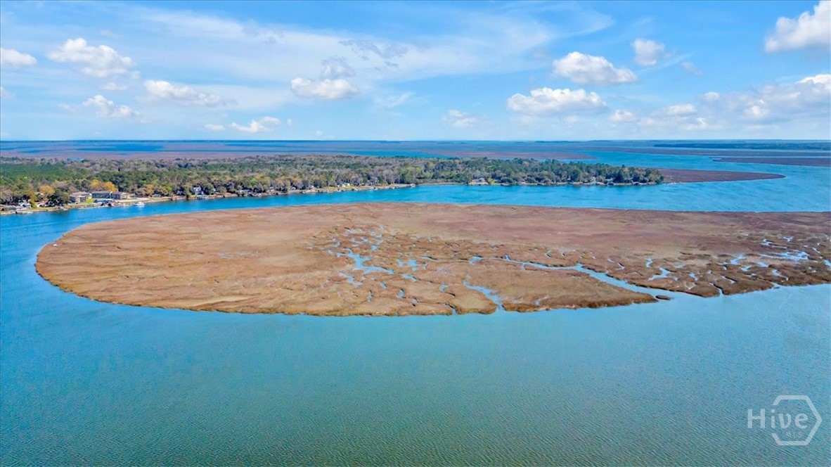 690 Japonica Road Midway, GA 31320 - Photo 60 of 70