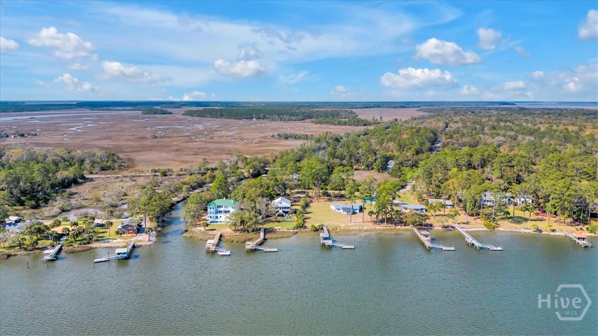 690 Japonica Road Midway, GA 31320 - Photo 61 of 70