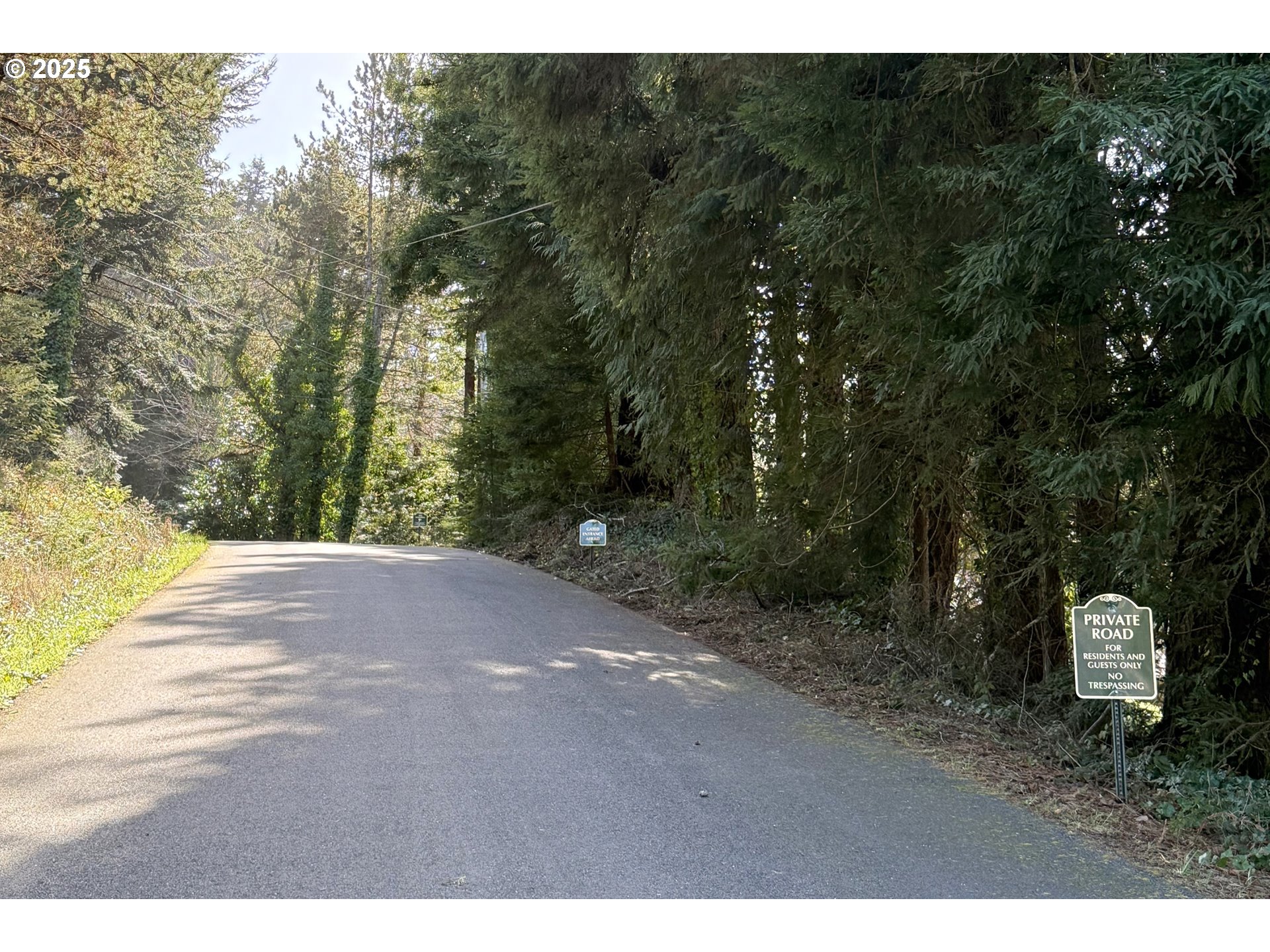 8 Fiddle Back Road, Unit LOT #8 North Bend, OR 97459 - Photo 2 of 11 a view of a yard and trees
