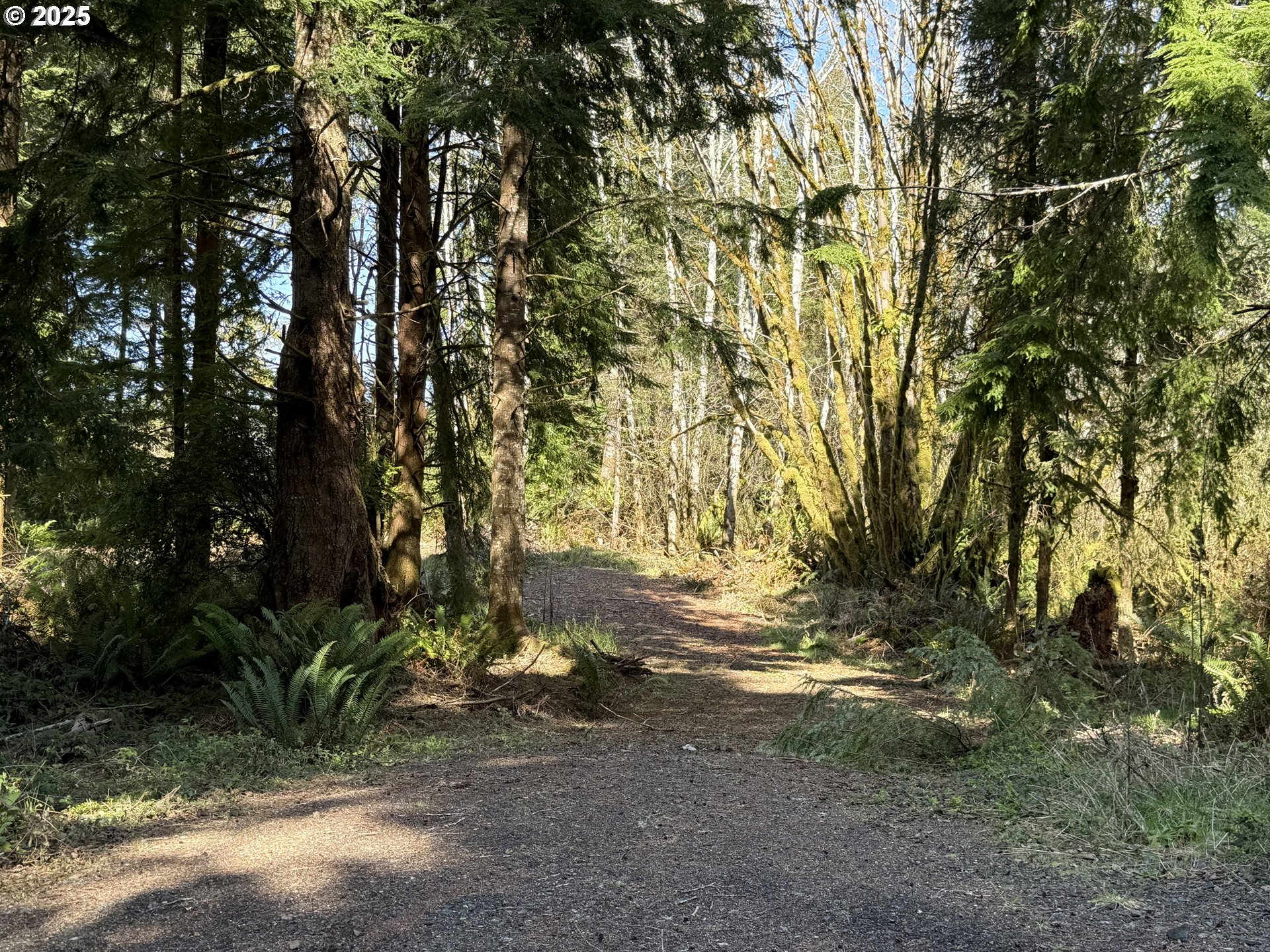 8 Fiddle Back Road, Unit LOT #8 North Bend, OR 97459 - Photo 7 of 11