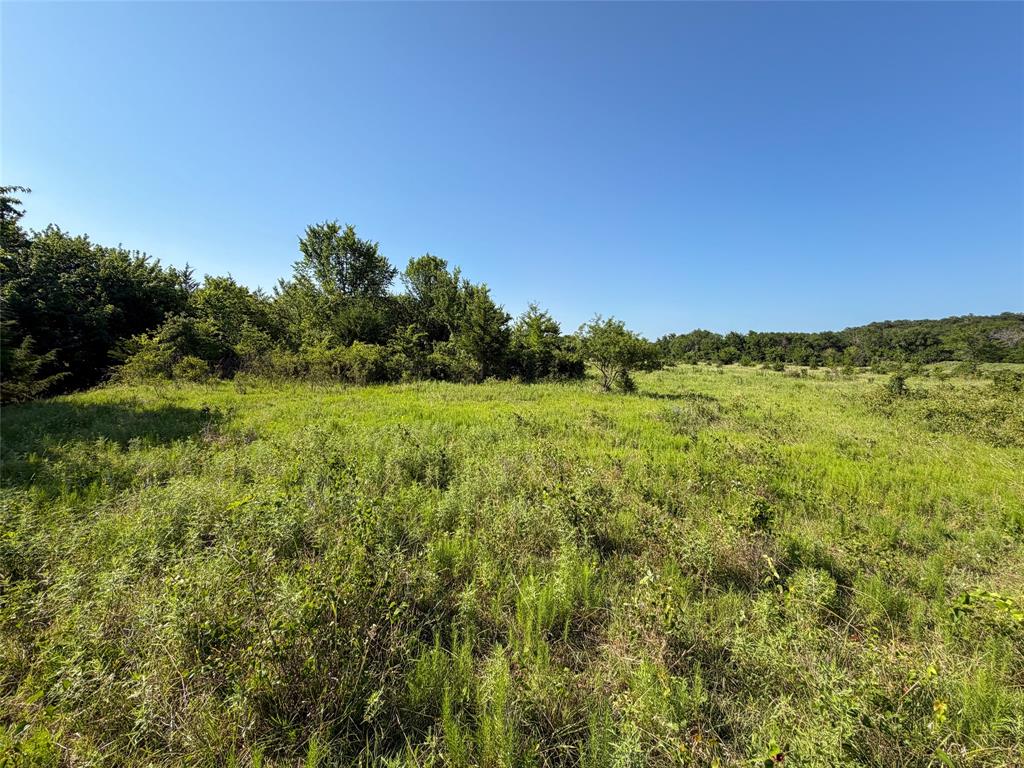 Tbd Carminati Road Montague, TX 76251 - Photo 21 of 32