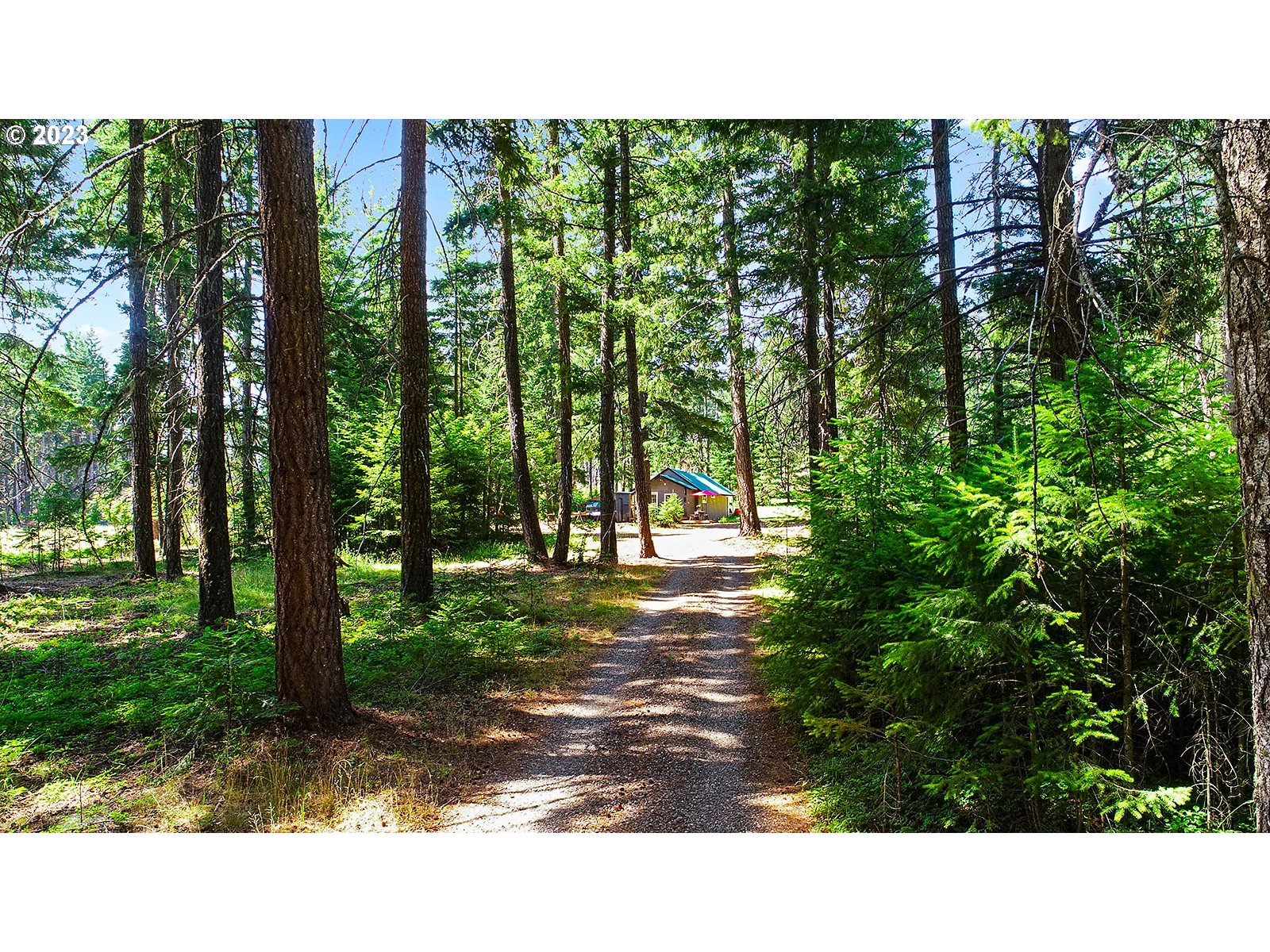 21 Prairie Road Appleton, WA 98602 - Photo 14 of 39 a black and white photo of a park