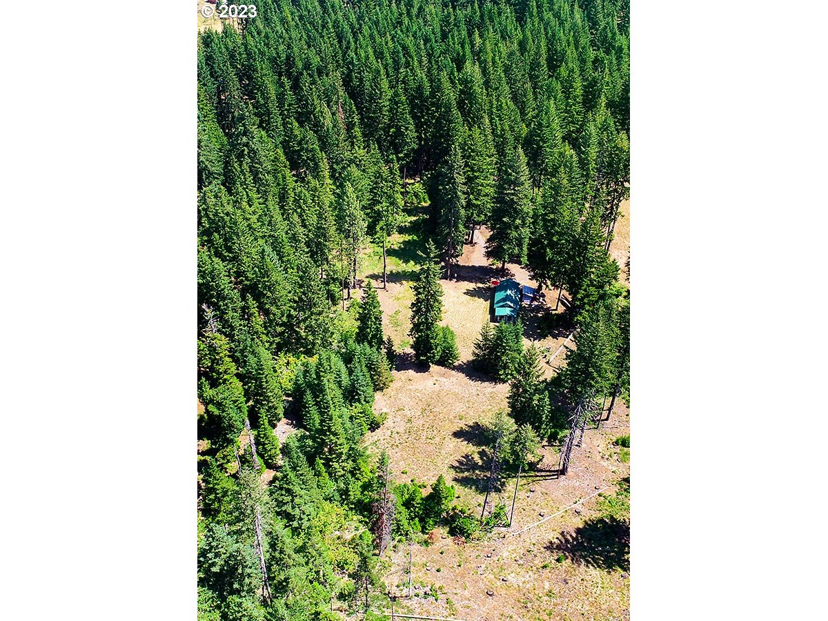 21 Prairie Road Appleton, WA 98602 - Photo 3 of 39 a close up of a plant in a garden