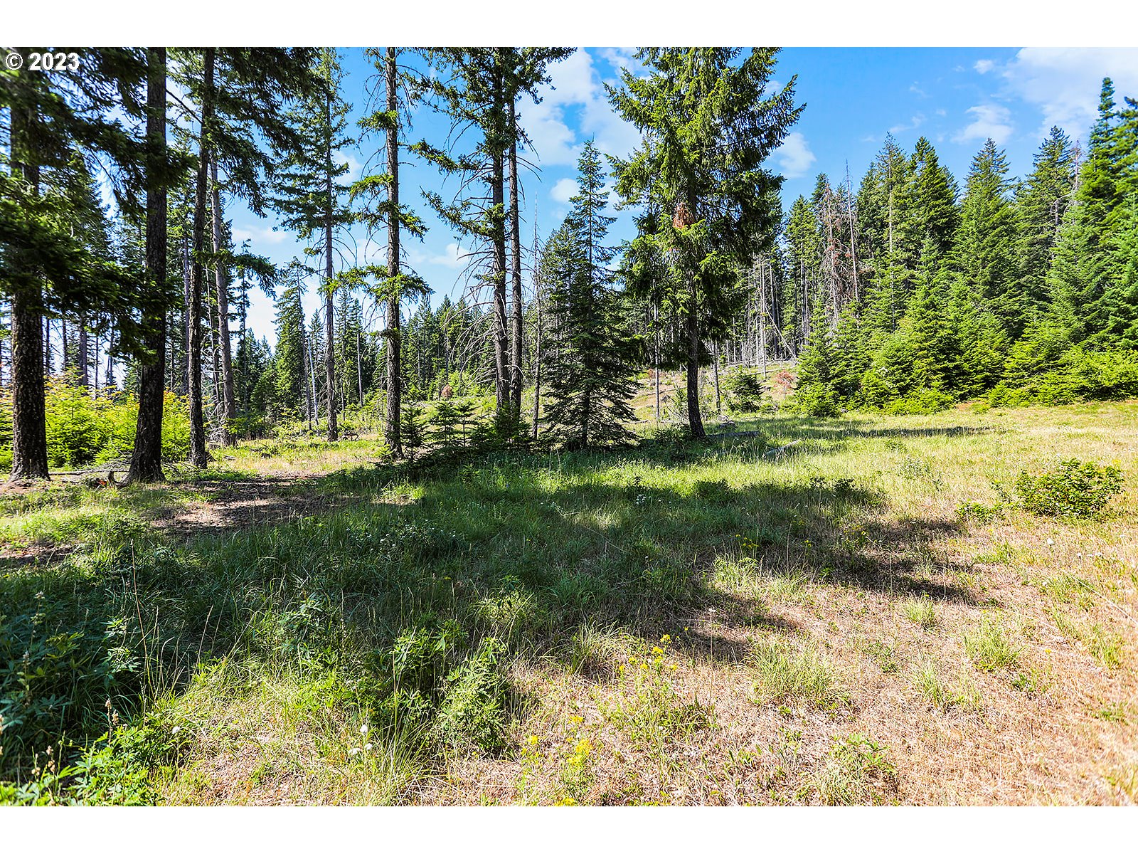 21 Prairie Road Appleton, WA 98602 - Photo 36 of 39 a view of a park with large trees