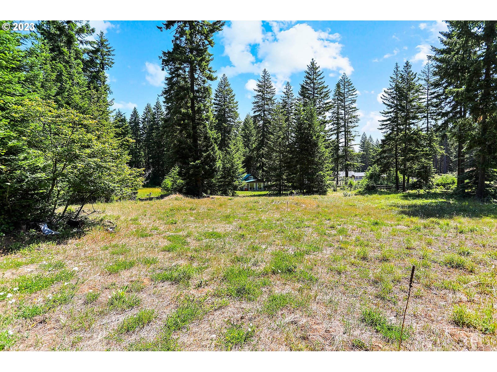 21 Prairie Road Appleton, WA 98602 - Photo 37 of 39 a view of outdoor space with trees all around