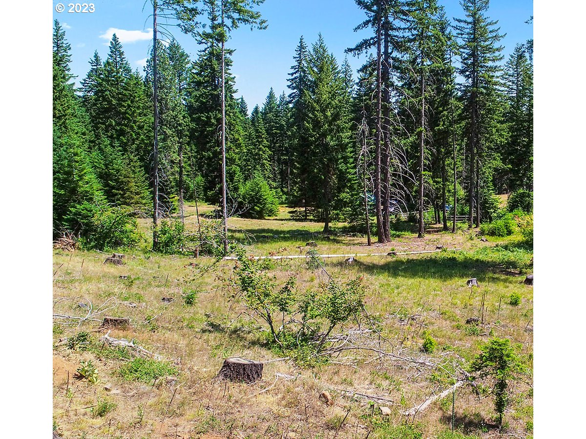 21 Prairie Road Appleton, WA 98602 - Photo 38 of 39 a view of a yard with a tree