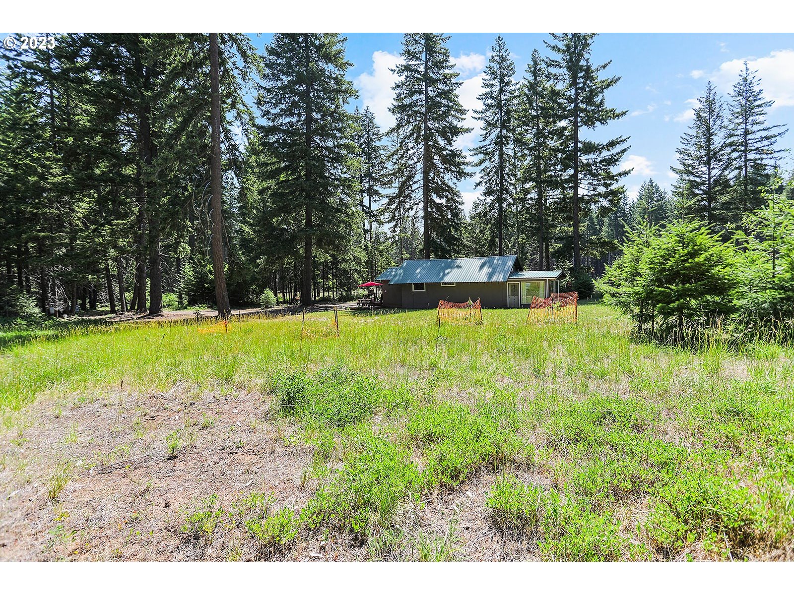 21 Prairie Road Appleton, WA 98602 - Photo 39 of 39 a view of a park with large trees