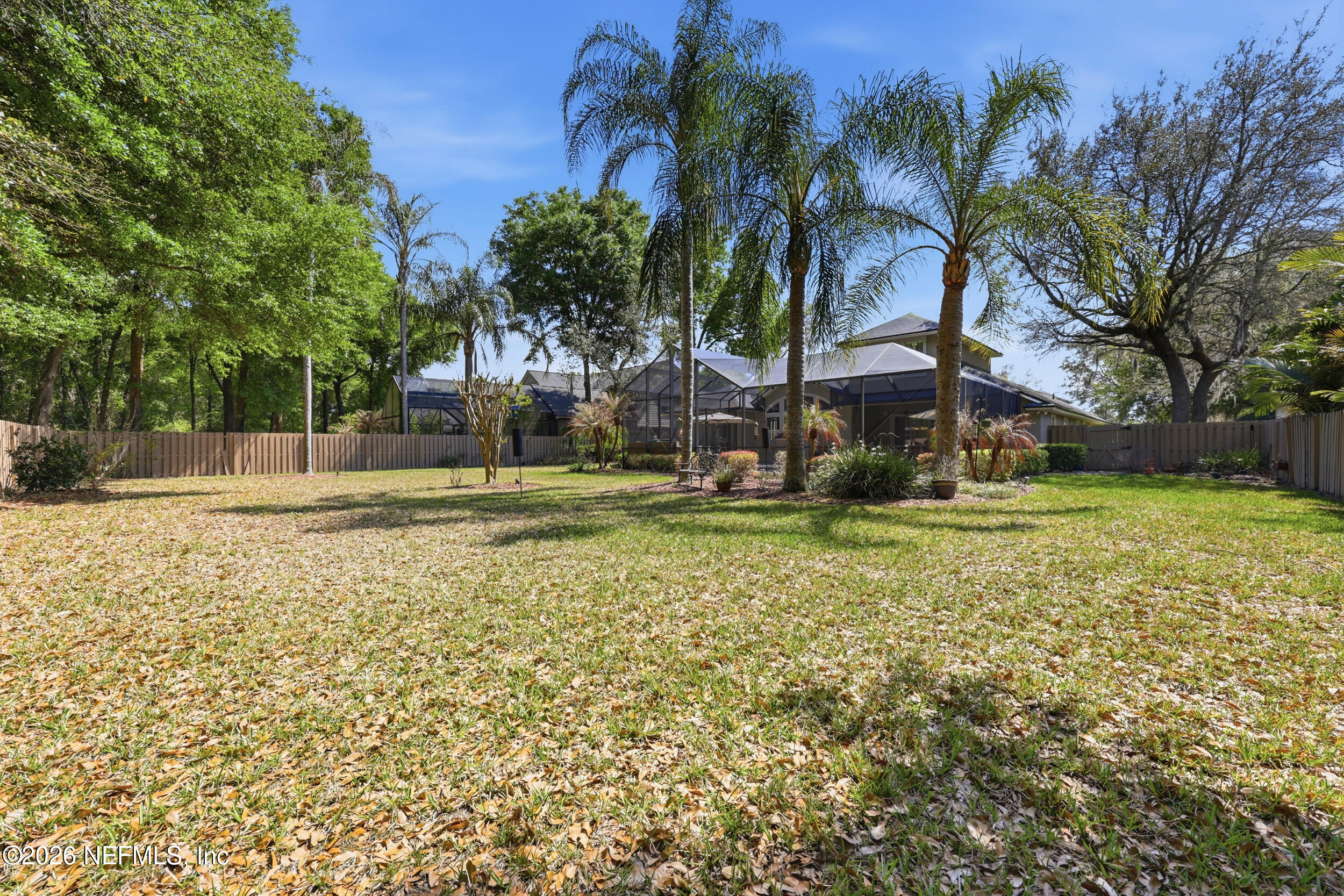 376 North Lombardy Loop St. Johns, FL 32259 - Photo 42 of 81 Gorgeous palms in yard