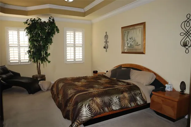 a bedroom with a bed window and a couch