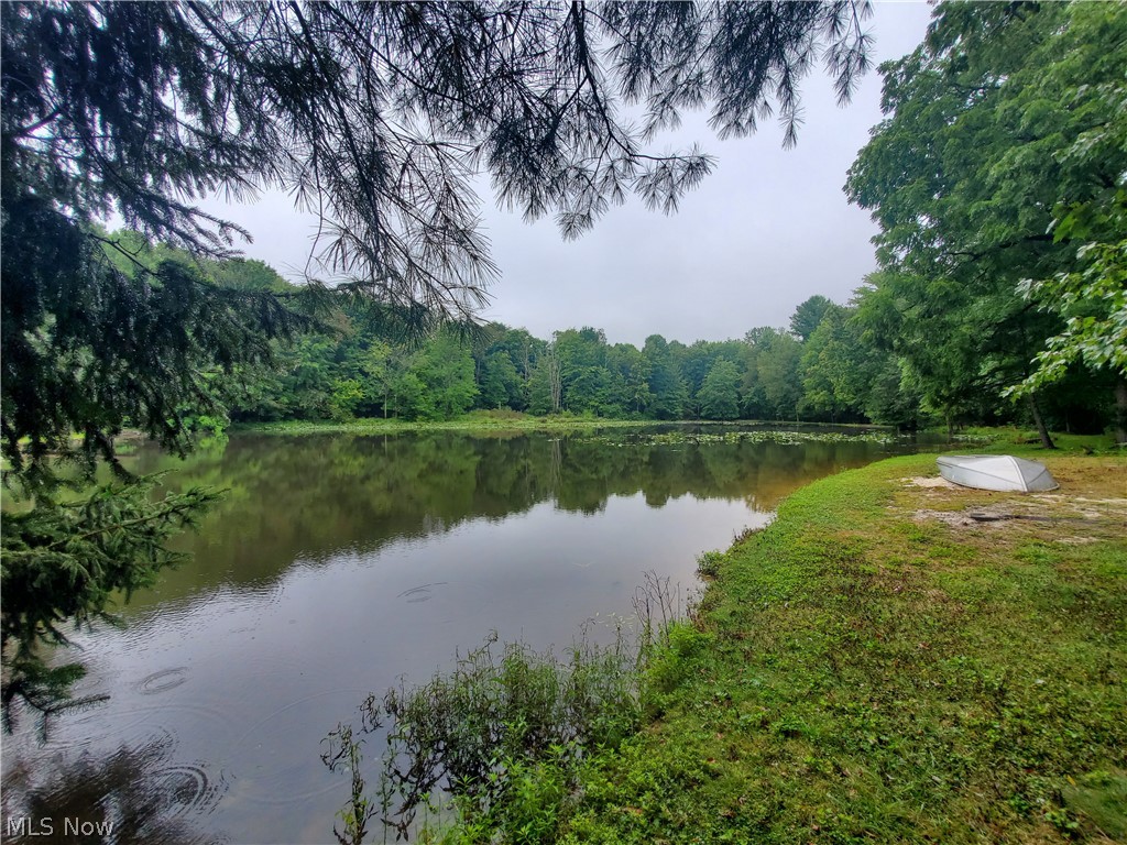 12703 Sheldon Road Mantua, OH 44255 - Photo 4 of 35 Peaceful stocked lake is great for swimming and fishing!