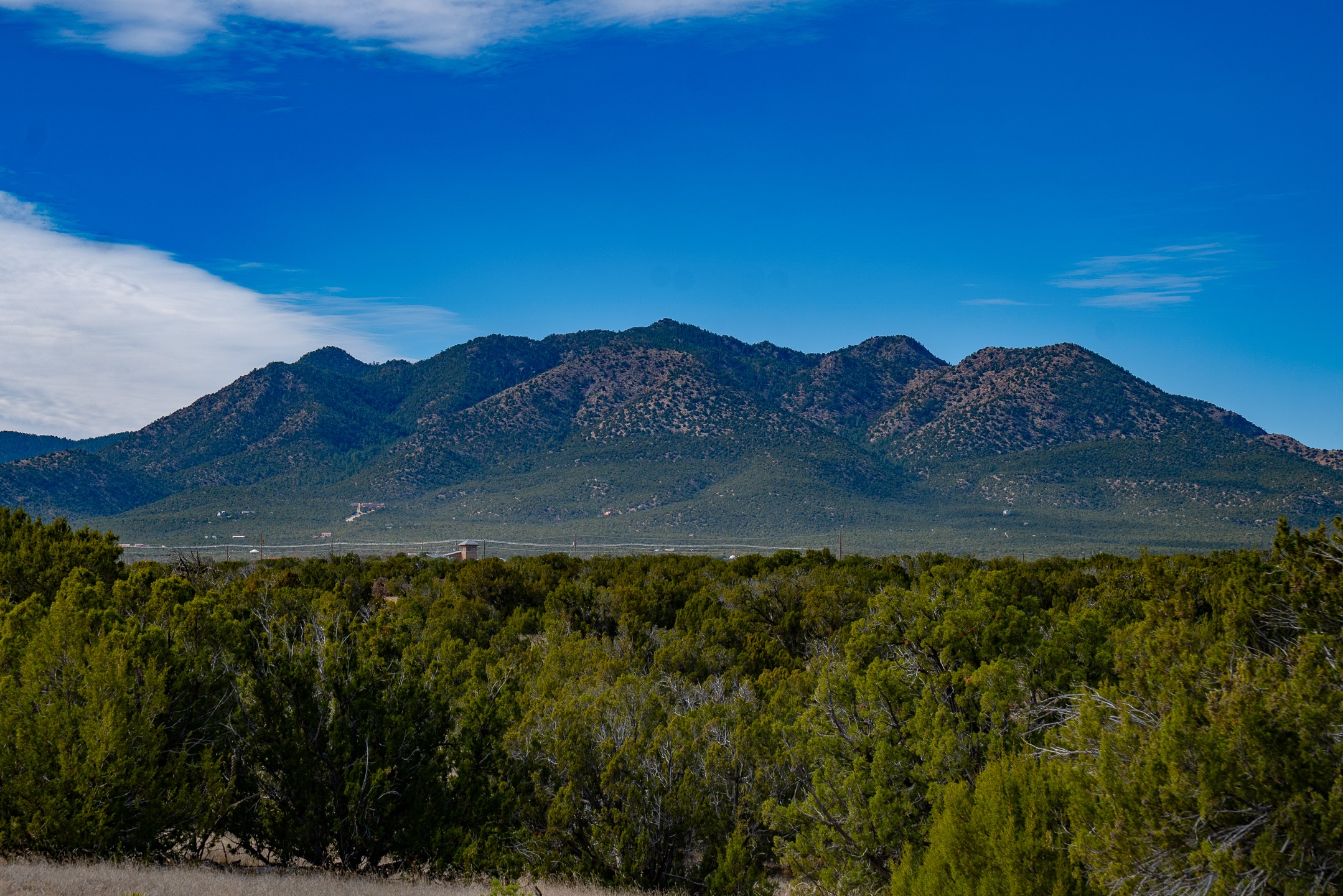 49-65 Blue Agave/grenfell Ranch Cerrillos, NM 87010 - Photo 2 of 36