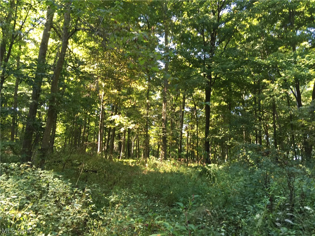 17869 Workman Road Danville, OH 43014 - Photo 1 of 25 Gallery Image 1