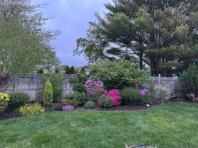 a view of garden with flowers and trees