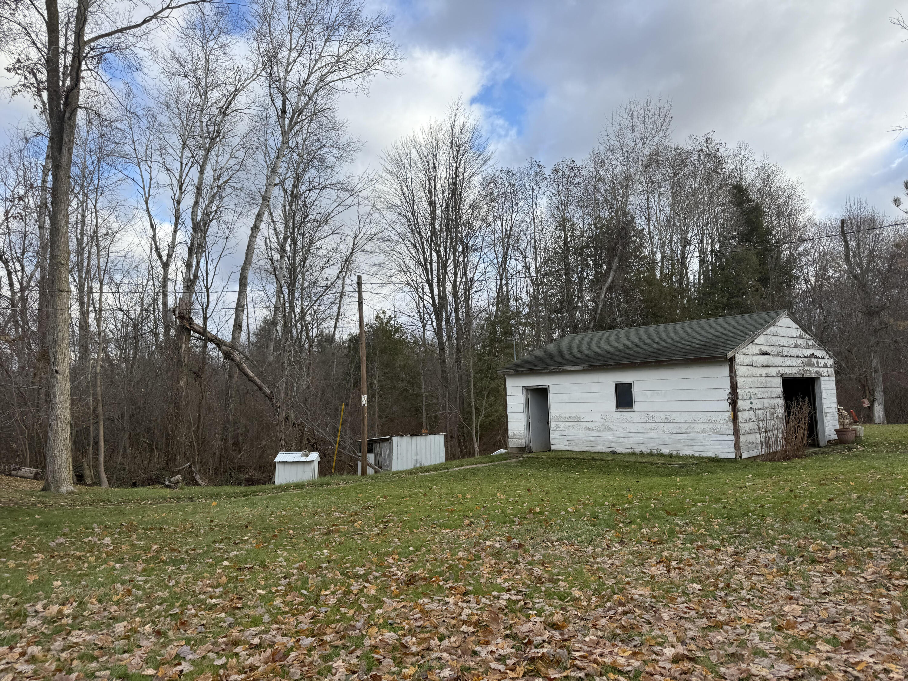 393 West Lever Road Hart, MI 49420 - Photo 4 of 4 4