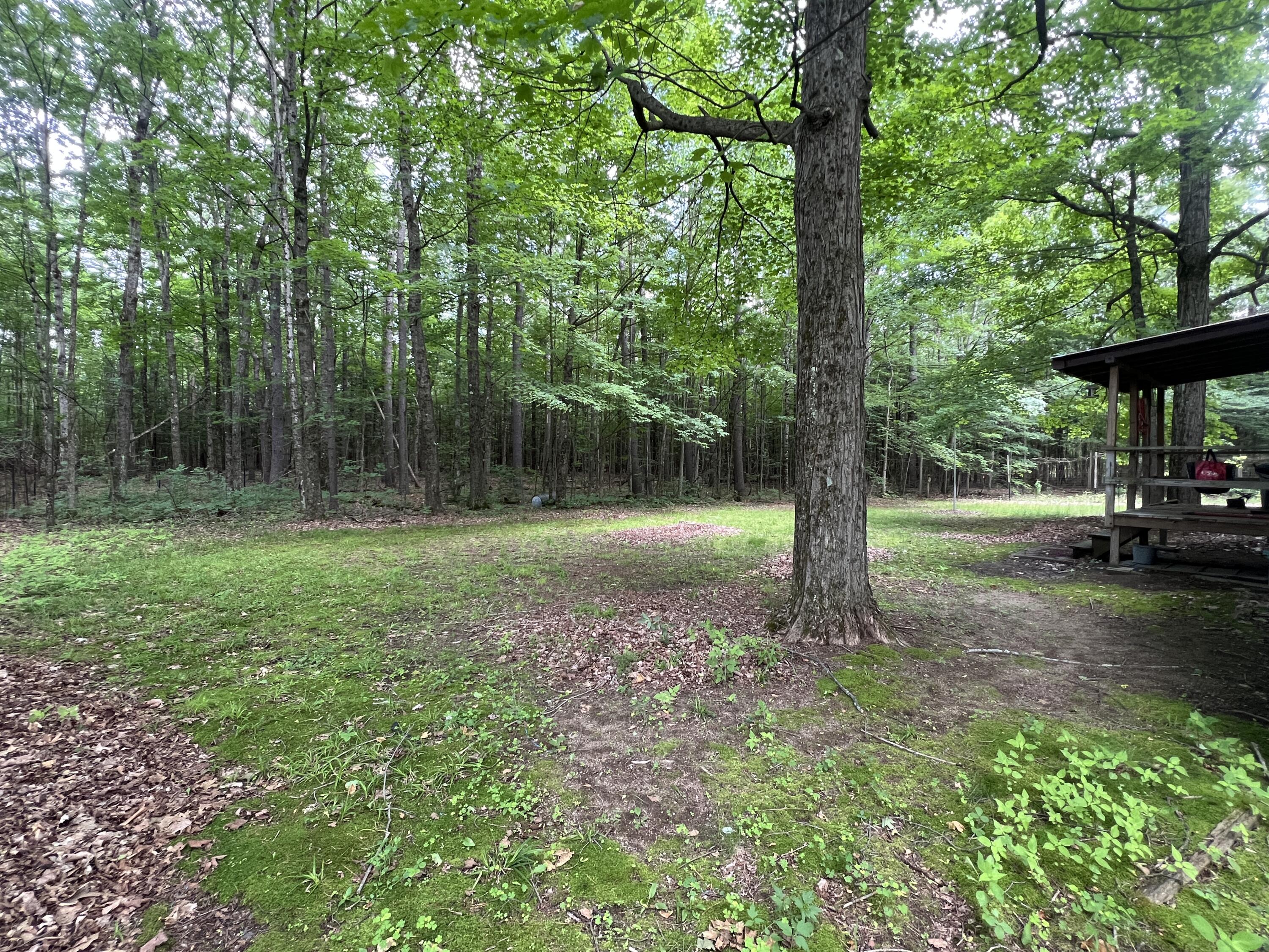 776 Brainards Forge Road Westport, NY 12993 - Photo 5 of 8